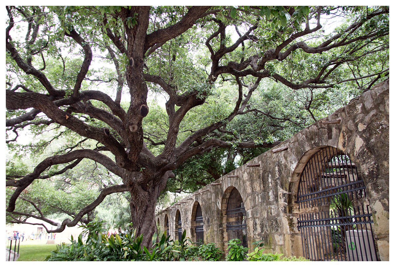 Our Vacation to Texas - at the Alamo