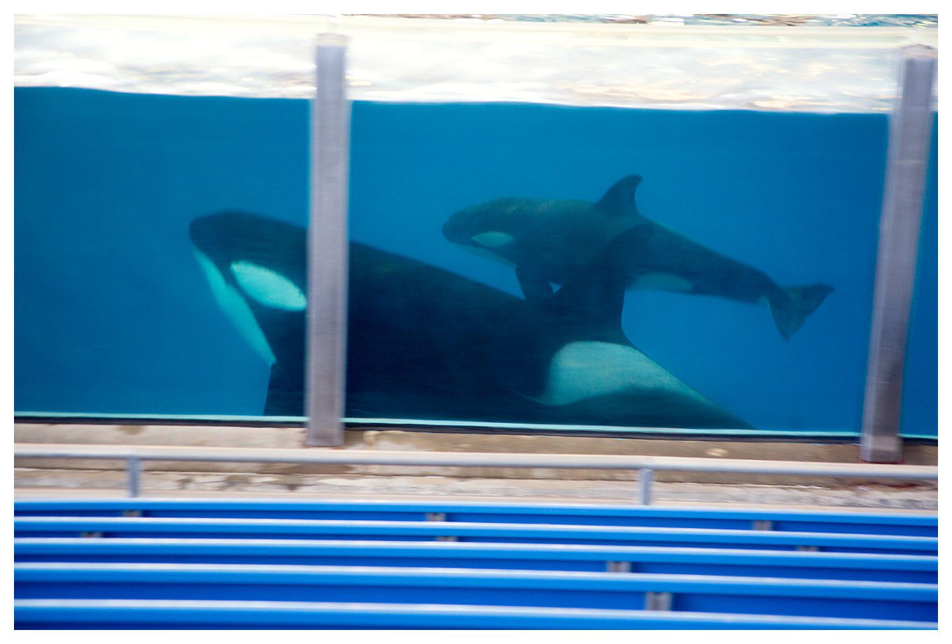 Our Vacation to Texas - at Sea World