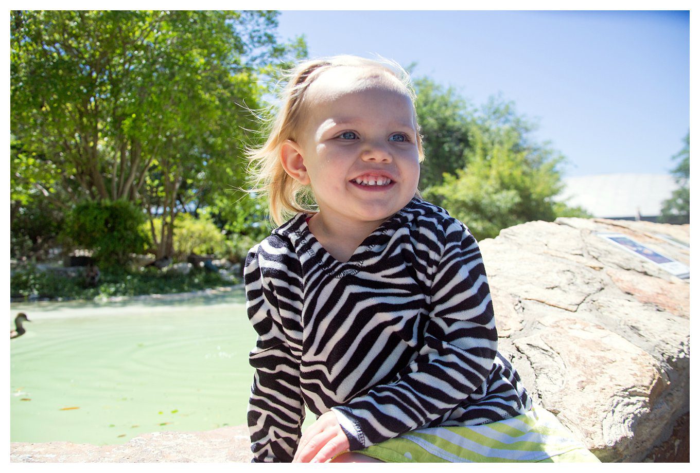 Our Vacation to Texas - at Sea World