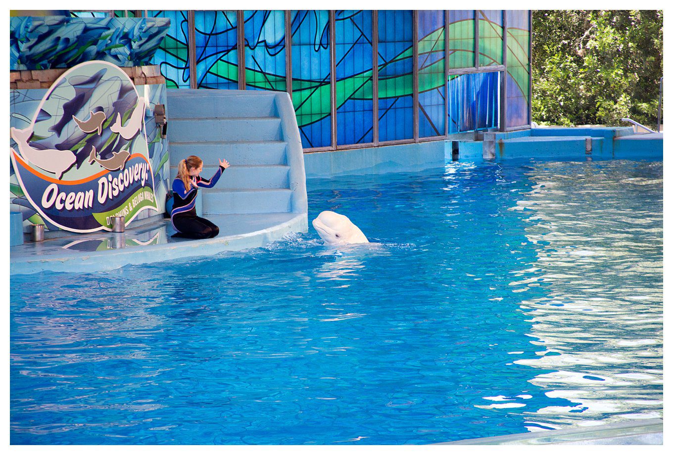 Our Vacation to Texas - at Sea World