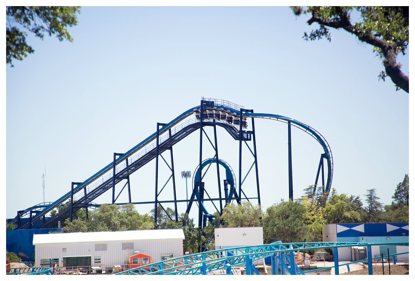 Our Vacation to Texas - at Sea World