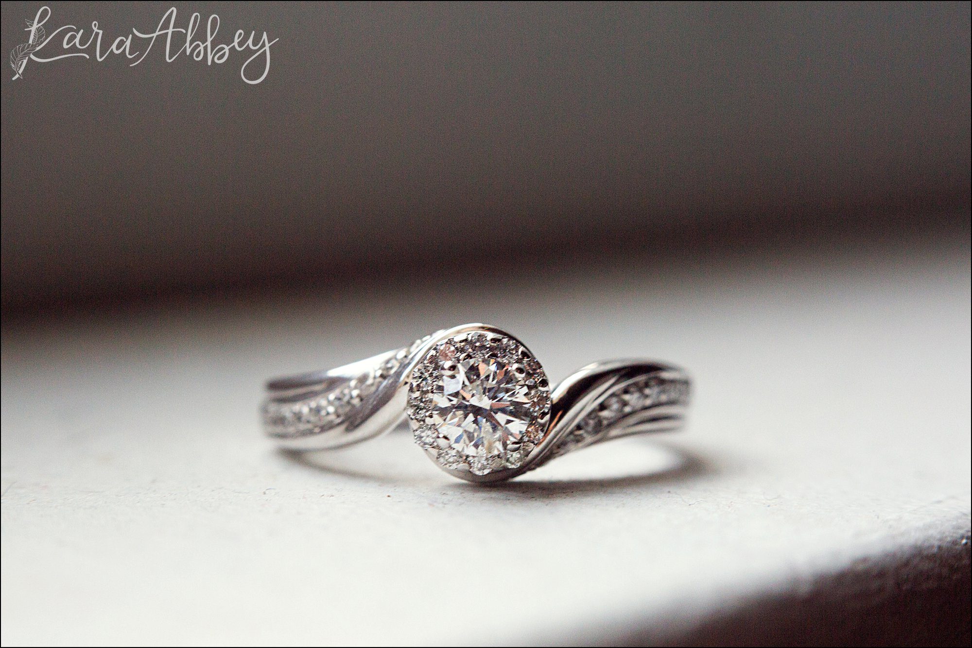 Proposal Photography by Irwin, PA Wedding Photographer