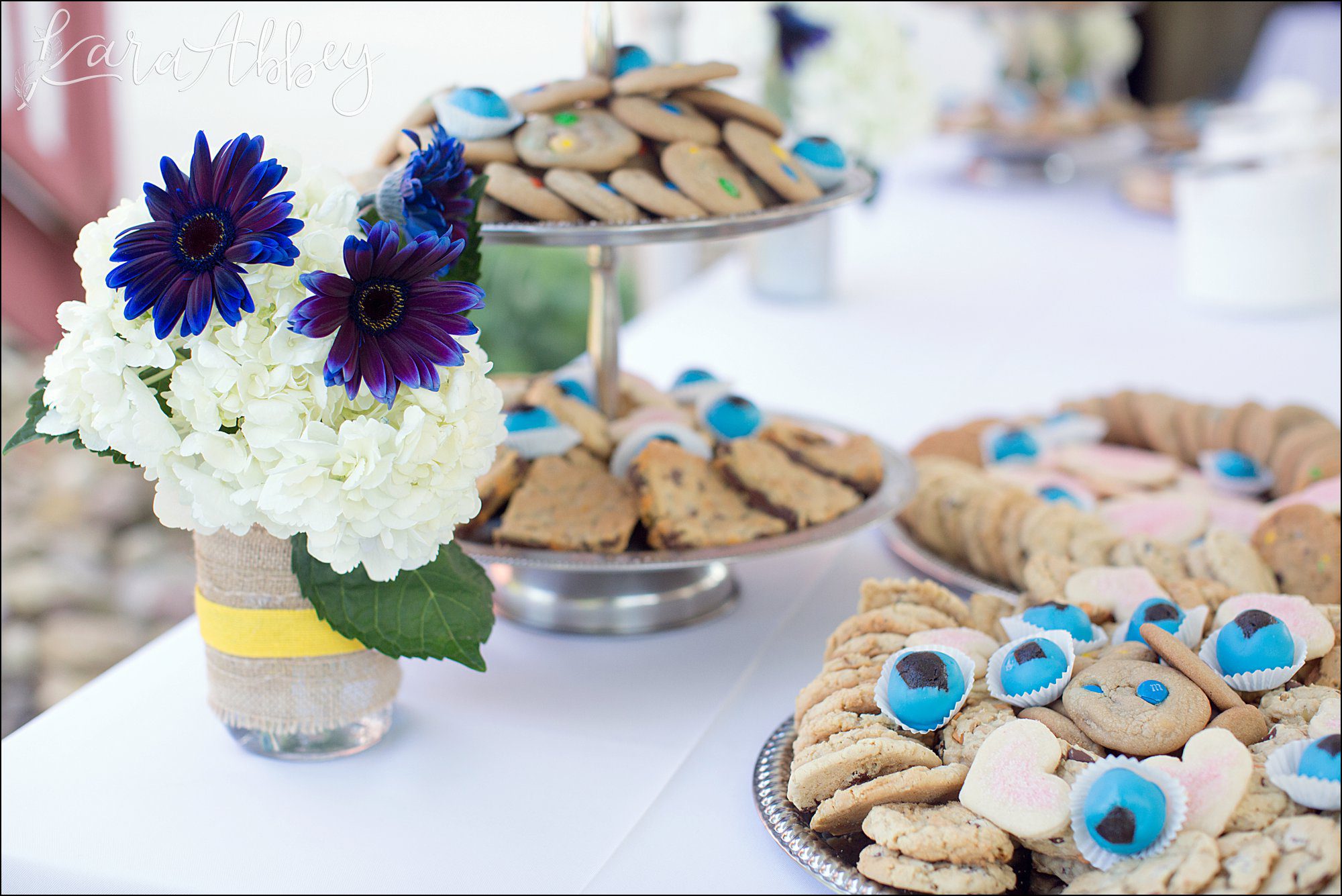 Summer Backyard Intimate Wedding Reception in Irwin, PA