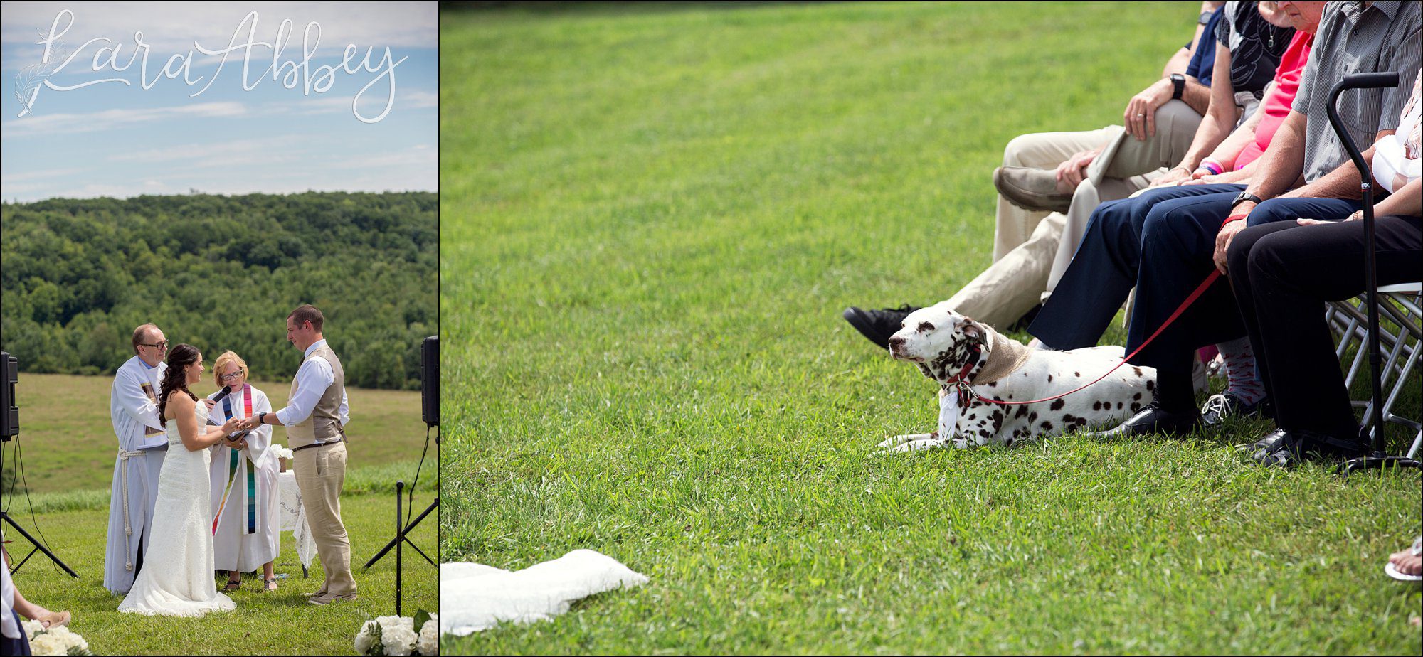 Mountaintop Summer Backyard Wedding Ceremony - Dog of Honor