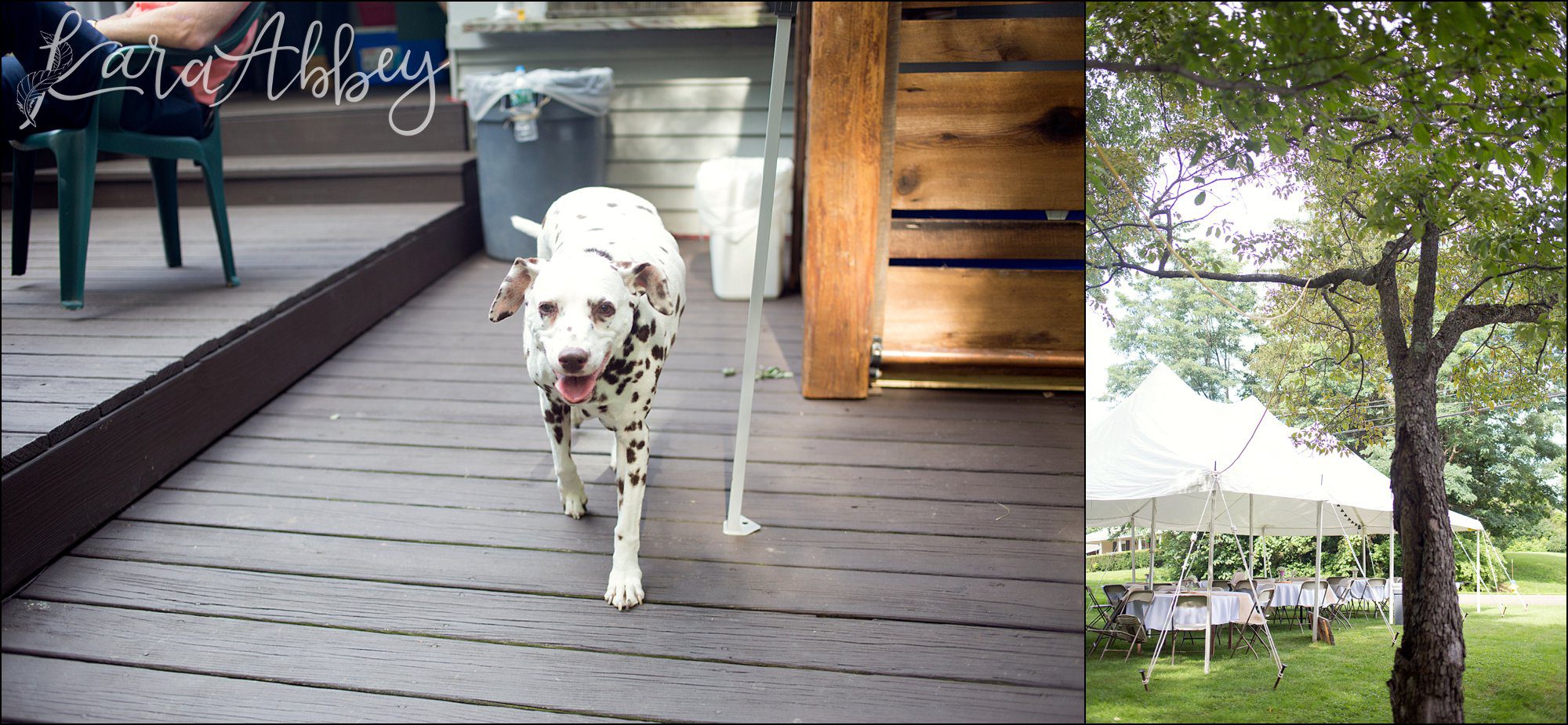 Laid Back Rustic DIY Summer Backyard Wedding Reception - Dog of Honor