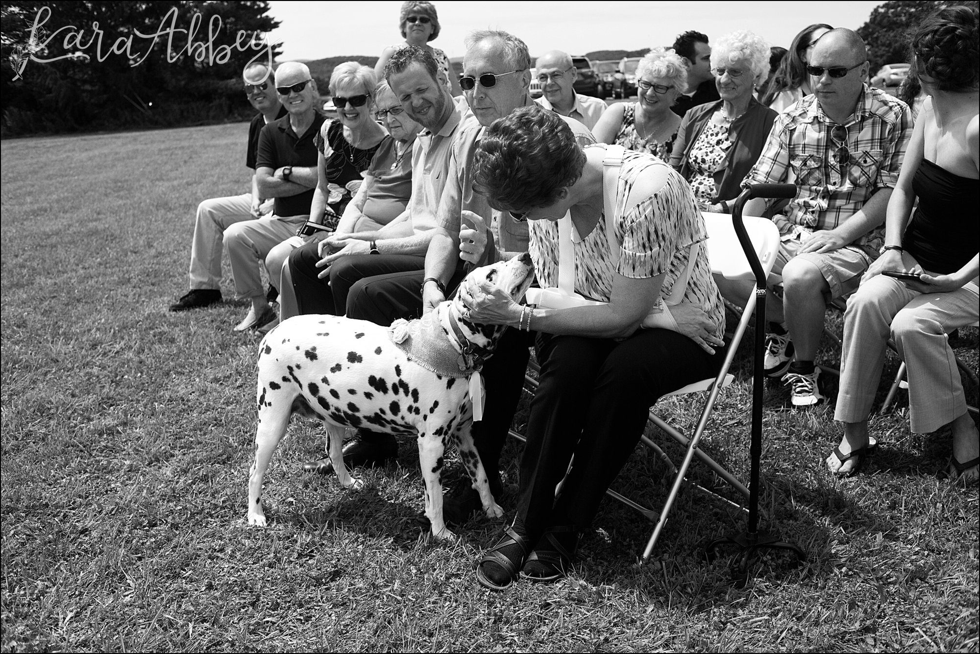 Mountaintop Summer Backyard Wedding Ceremony - Dog of Honor