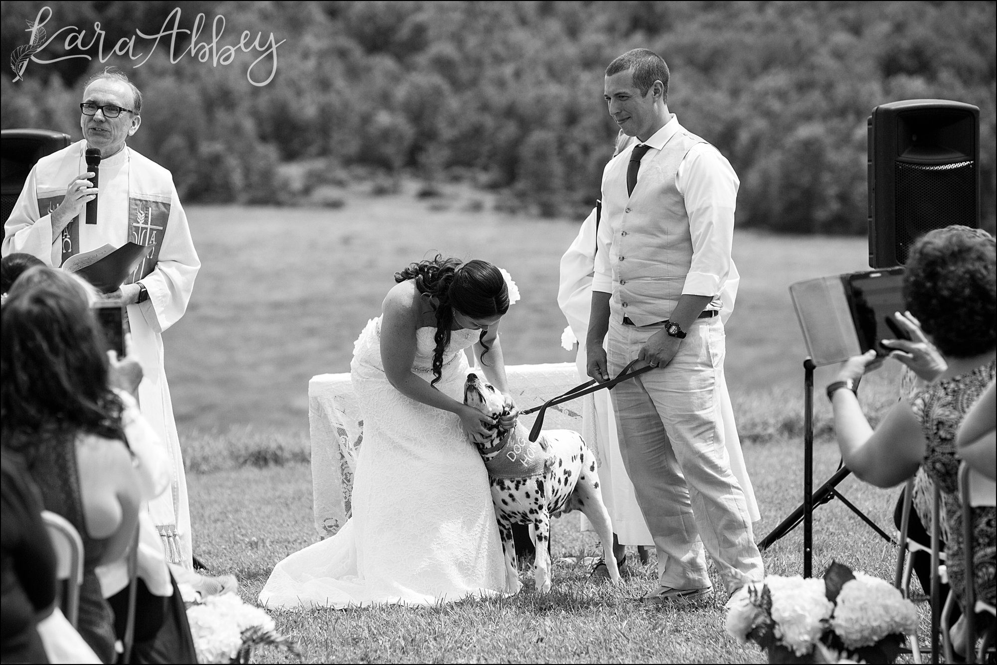 Mountaintop Summer Backyard Wedding Ceremony - Dog of Honor