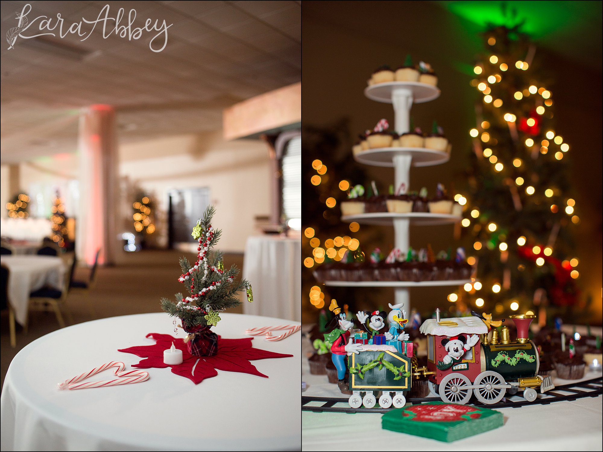 Christmas in July Wedding Themed Reception at Chautauqua Inn in Mayville, NY