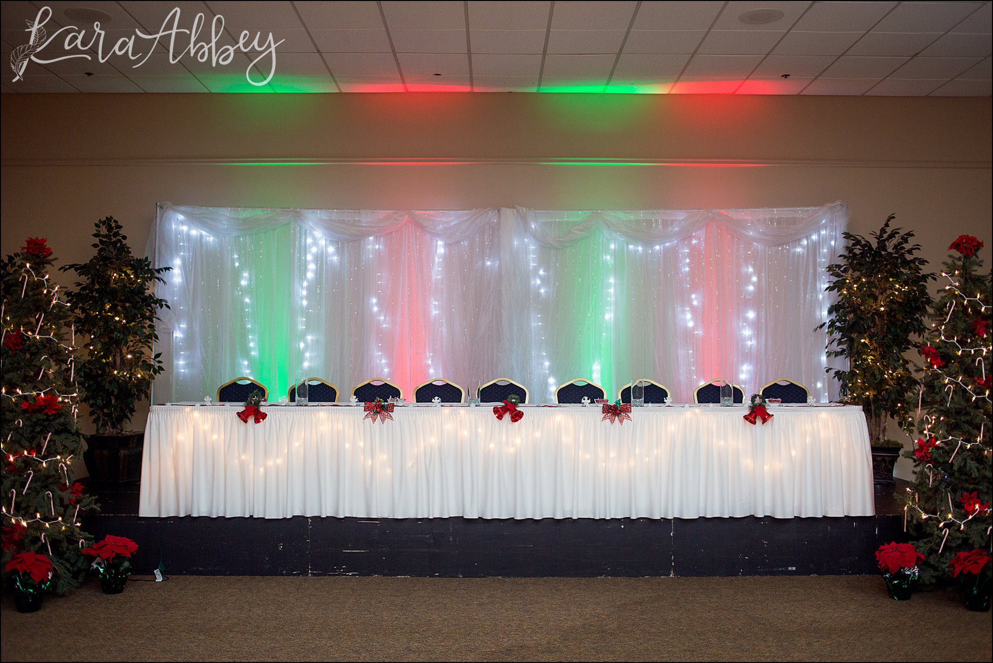 Christmas in July Wedding Themed Reception at Chautauqua Inn in Mayville, NY
