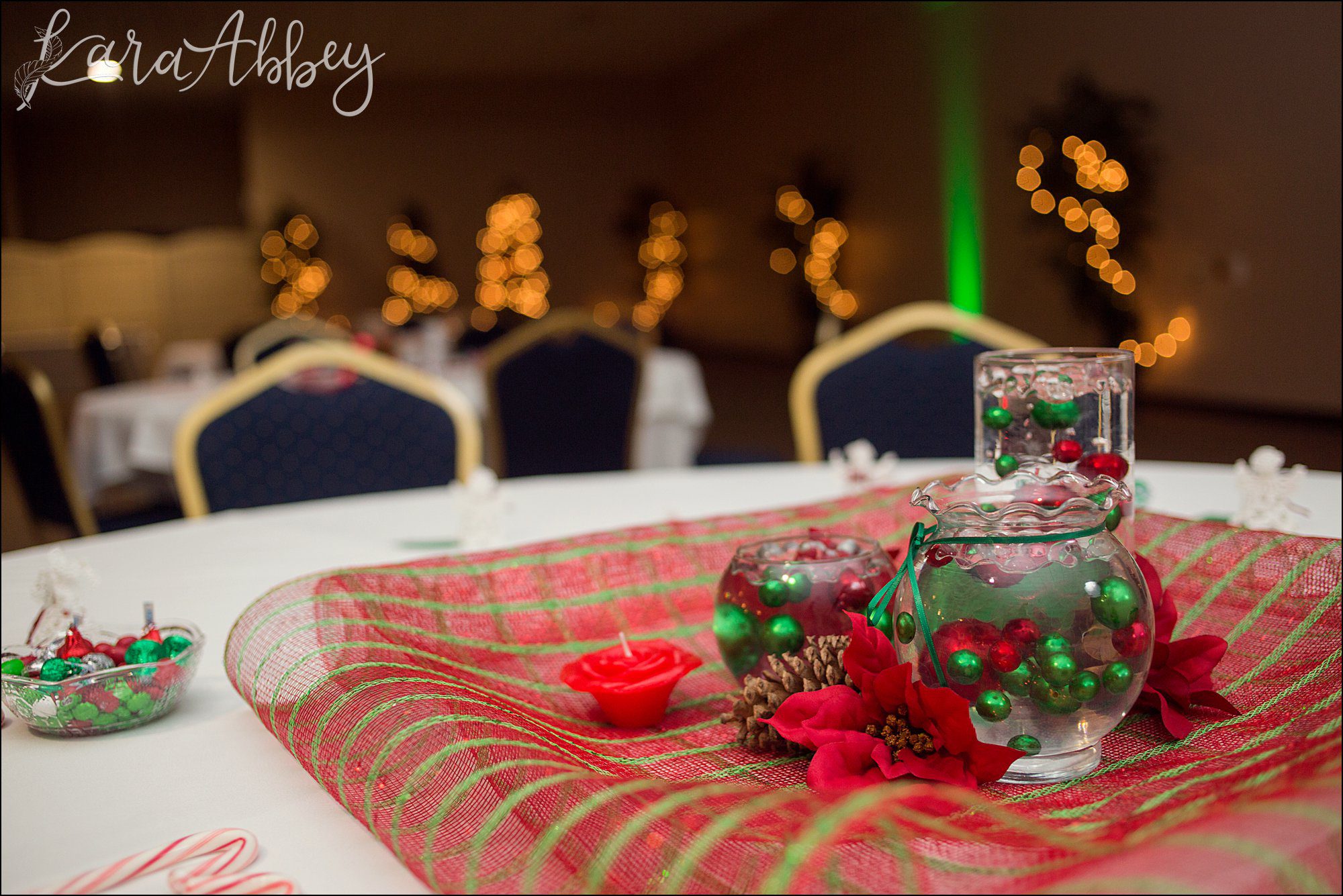 Christmas in July Wedding Themed Reception at Chautauqua Inn in Mayville, NY