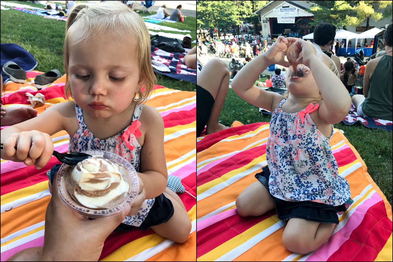 85th Annual Norwin Community Picnic at Idlewild Park in Ligonier, PA