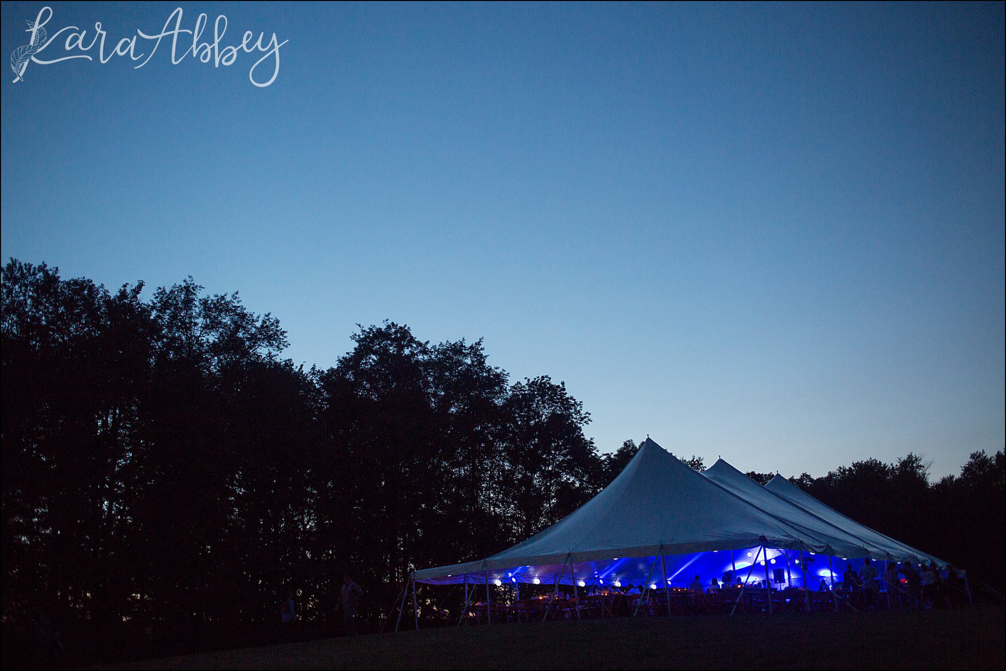 Summer Backyard Navy Wedding - Rustic Reception