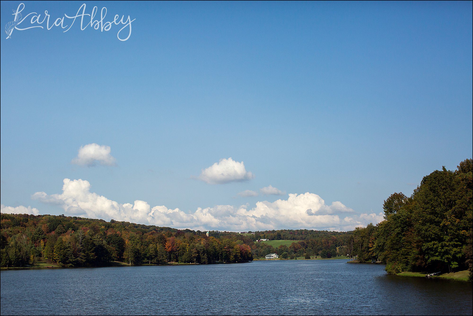 Teal Fall Backyard DIY Wedding - by Photographer in Irwin, PA