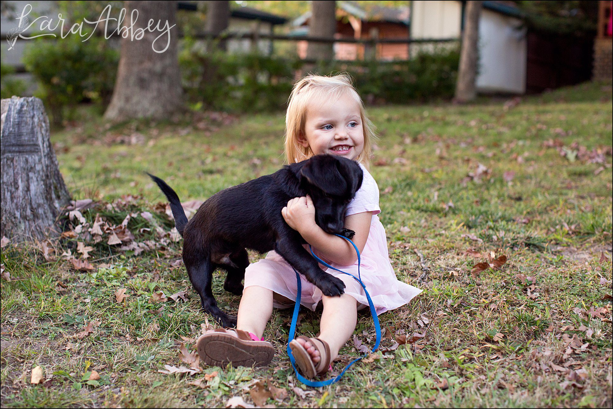 2 Year Old Toddler Portraits in Irwin, PA