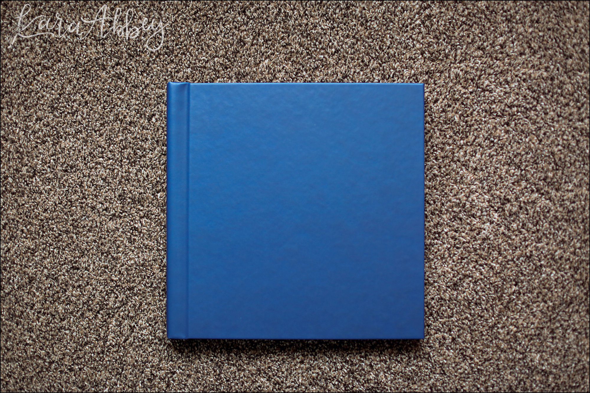 Beautiful Leather Layfalt Professional Wedding Album by Irwin, PA Photographer
