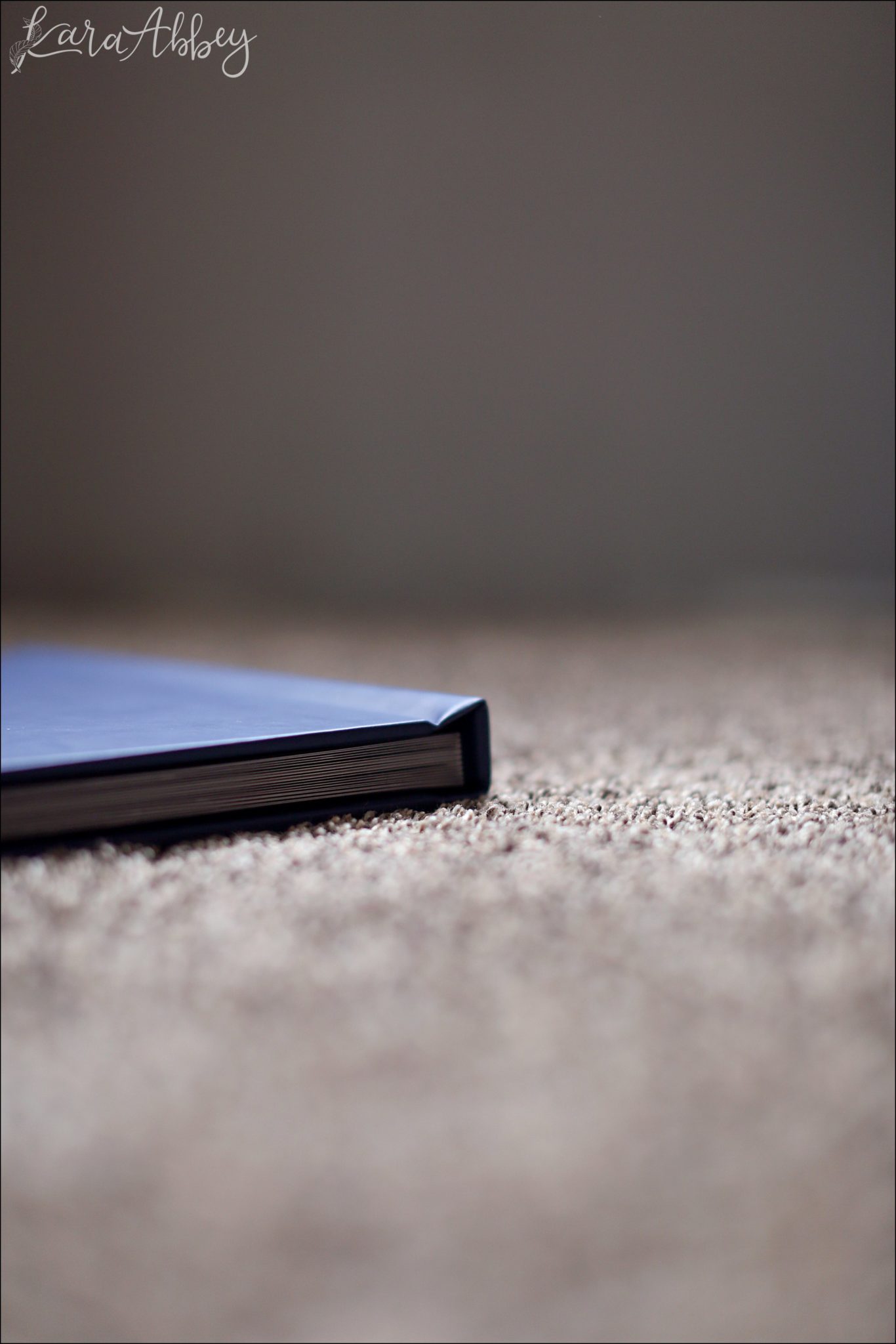 Beautiful Leather Layfalt Professional Wedding Album by Irwin, PA Photographer