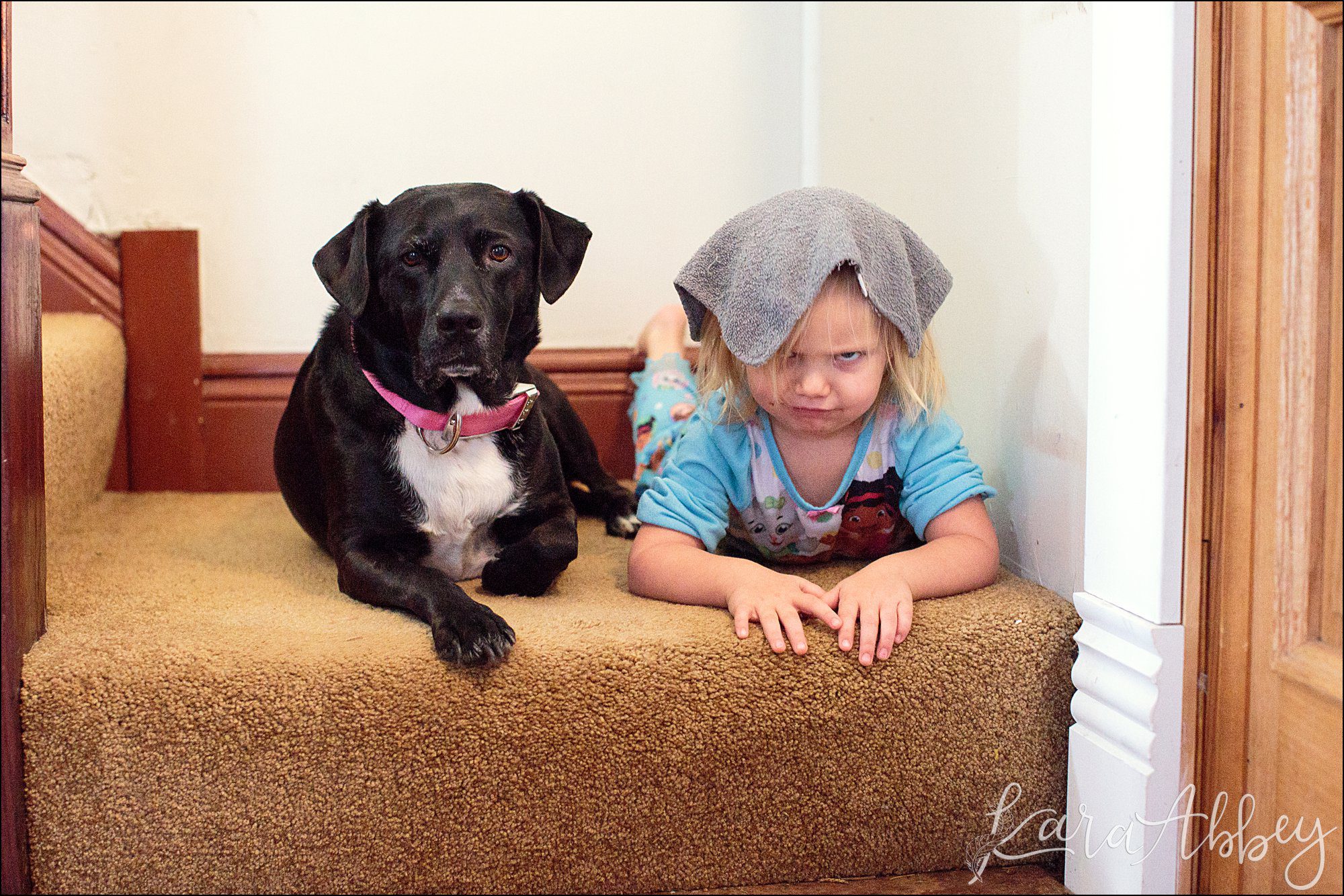 Bloopers of Black Lab Abby's Saturday in Irwin, PA