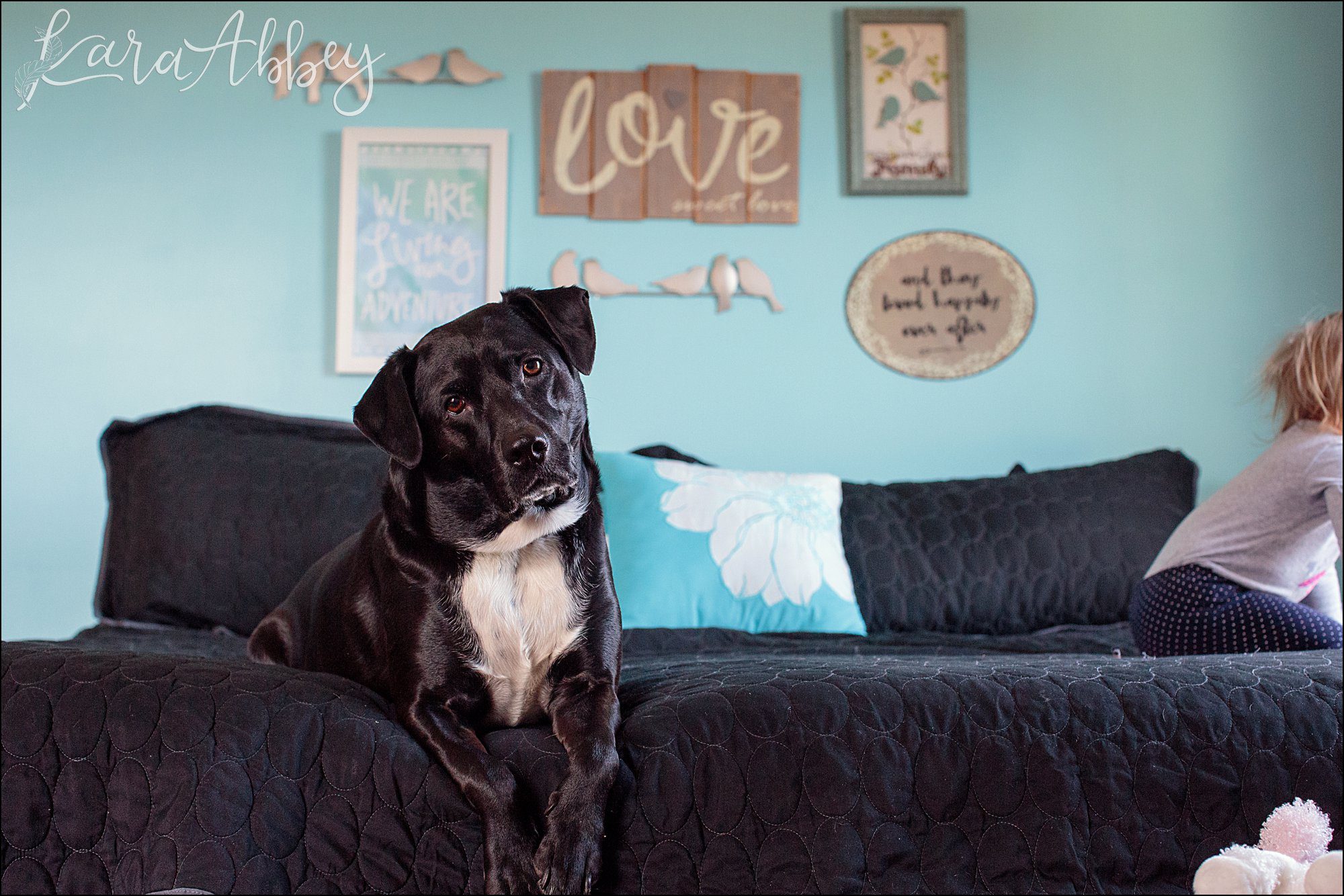 Bloopers of Black Lab Abby's Saturday in Irwin, PA