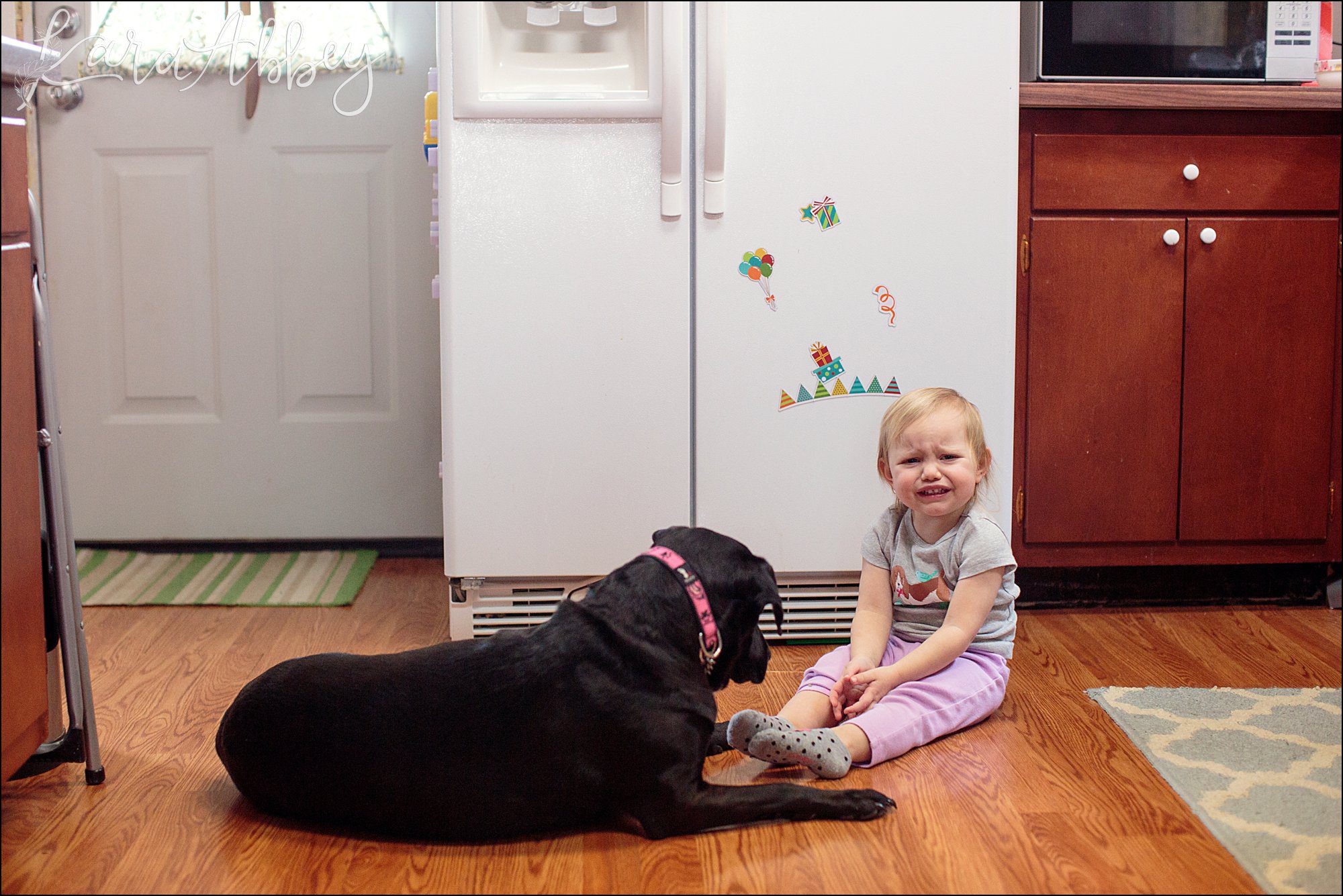 Bloopers of Black Lab Abby's Saturday in Irwin, PA