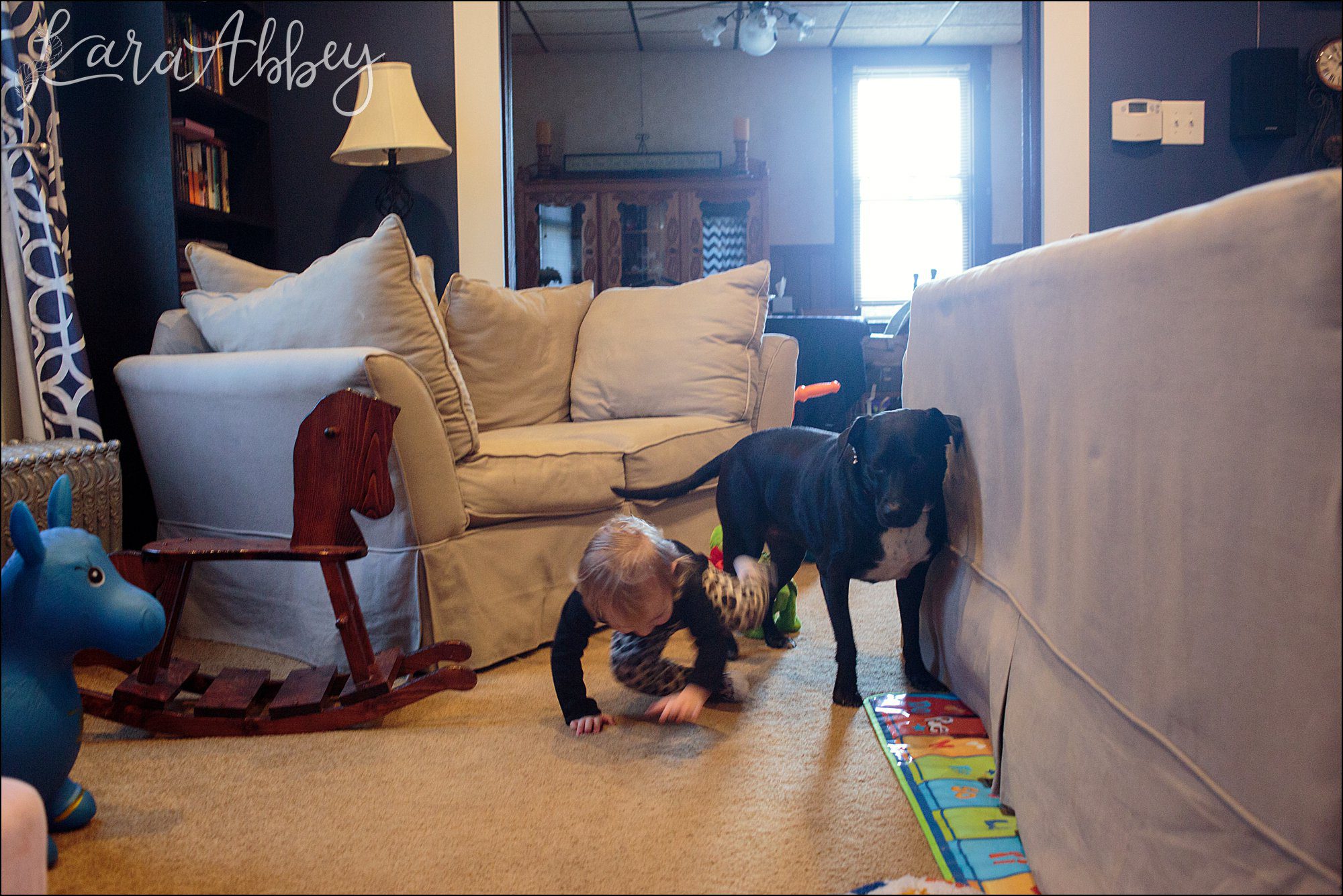 Bloopers of Black Lab Abby's Saturday in Irwin, PA