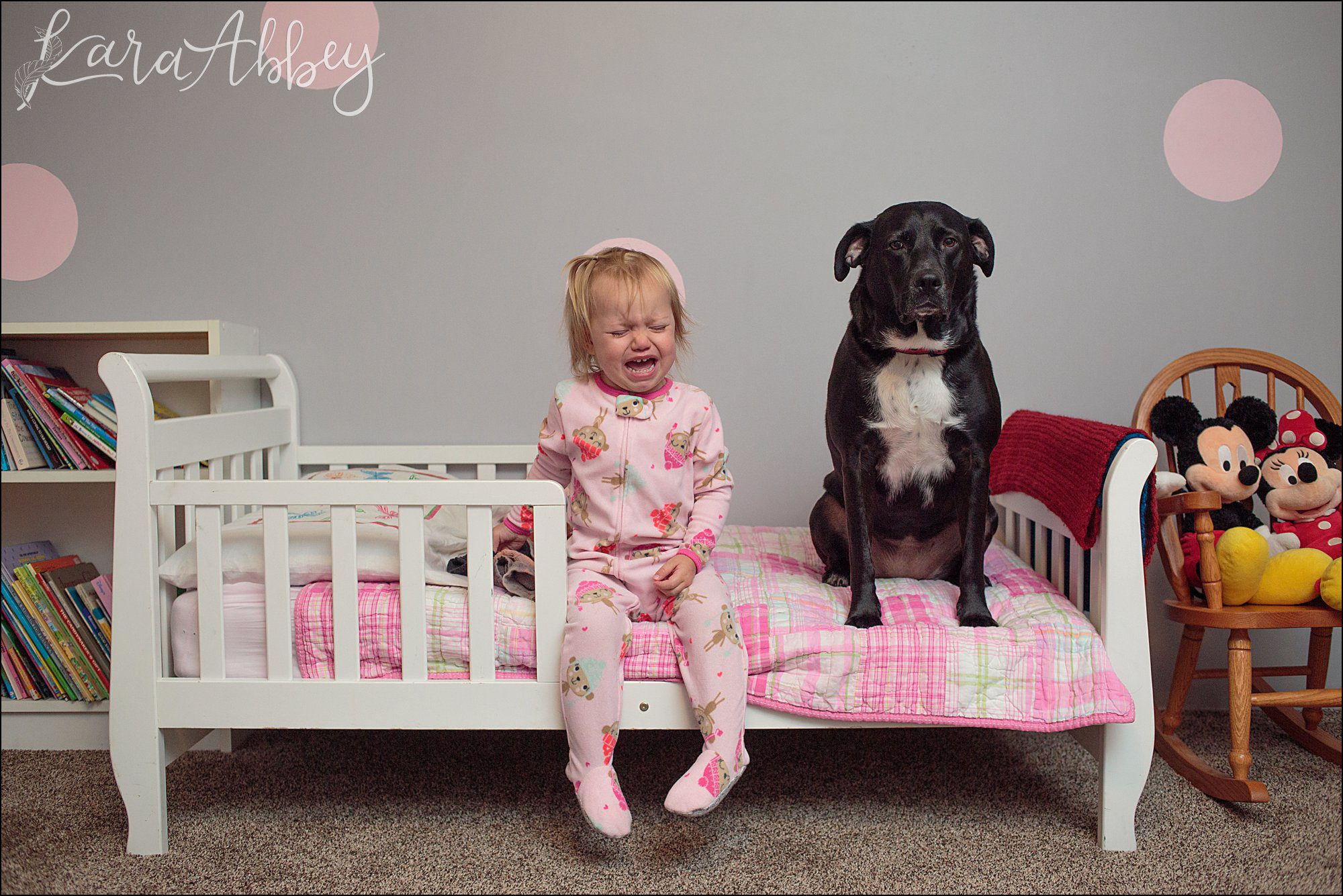 Bloopers of Black Lab Abby's Saturday in Irwin, PA