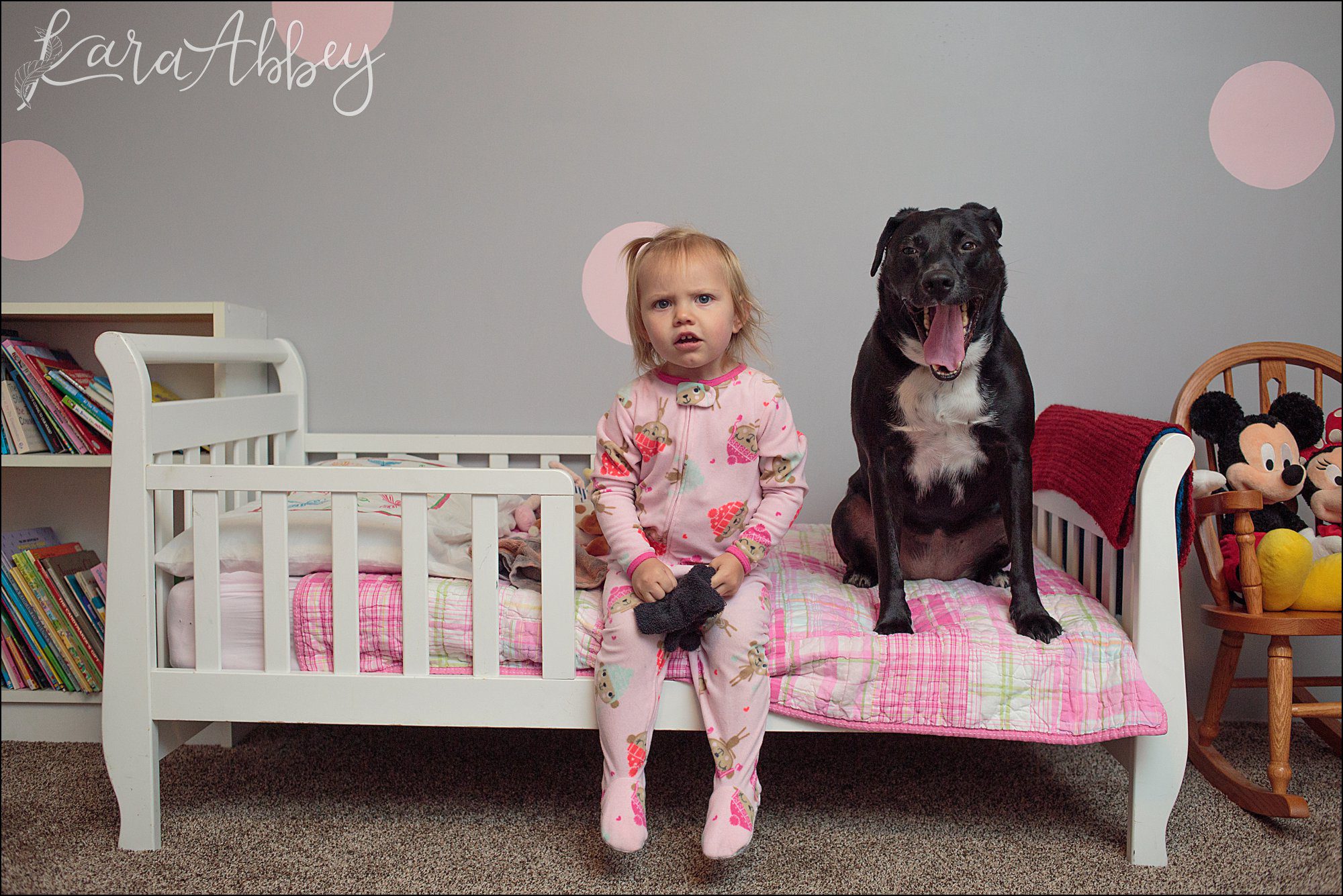 Bloopers of Black Lab Abby's Saturday in Irwin, PA