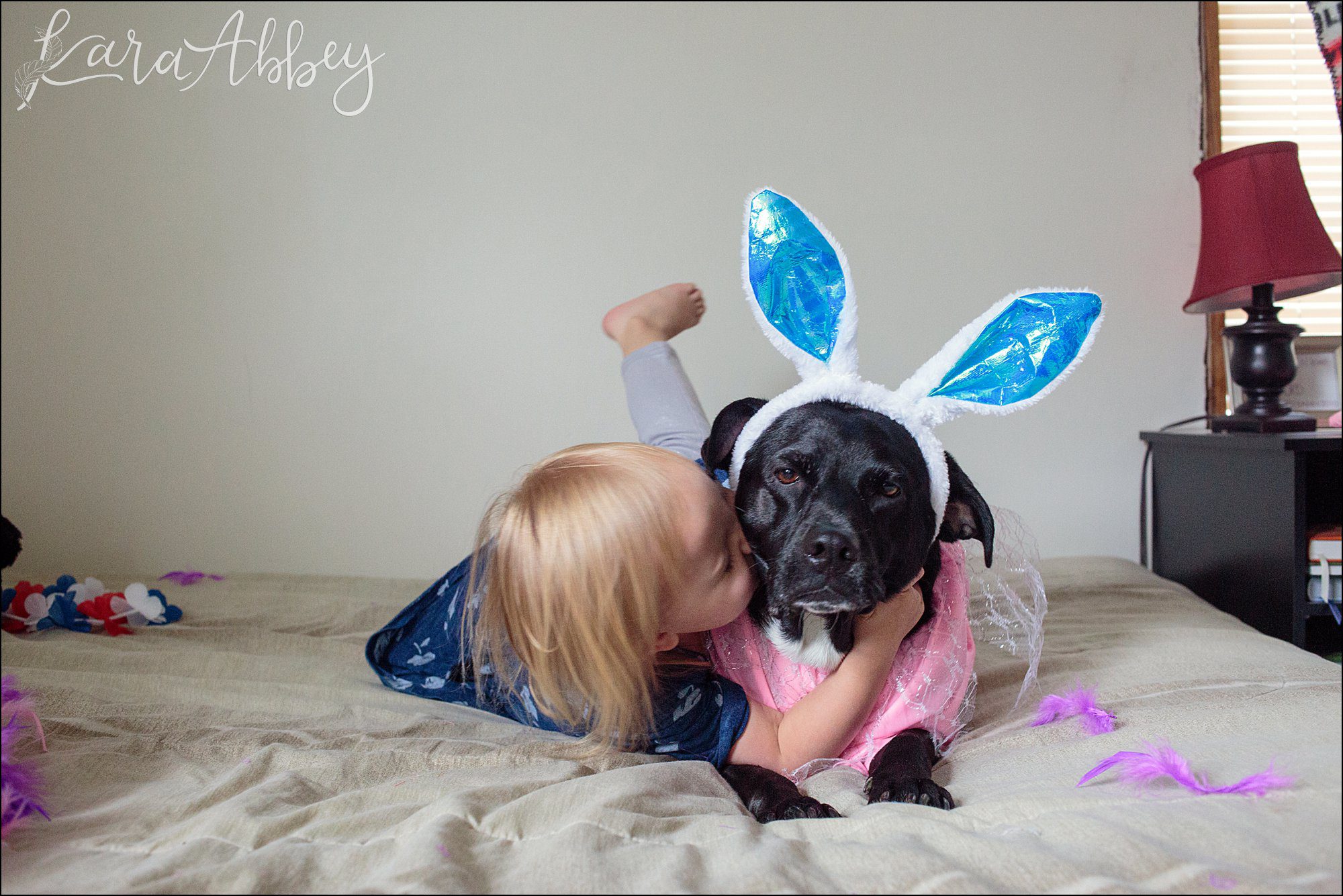 Bloopers of Black Lab Abby's Saturday in Irwin, PA