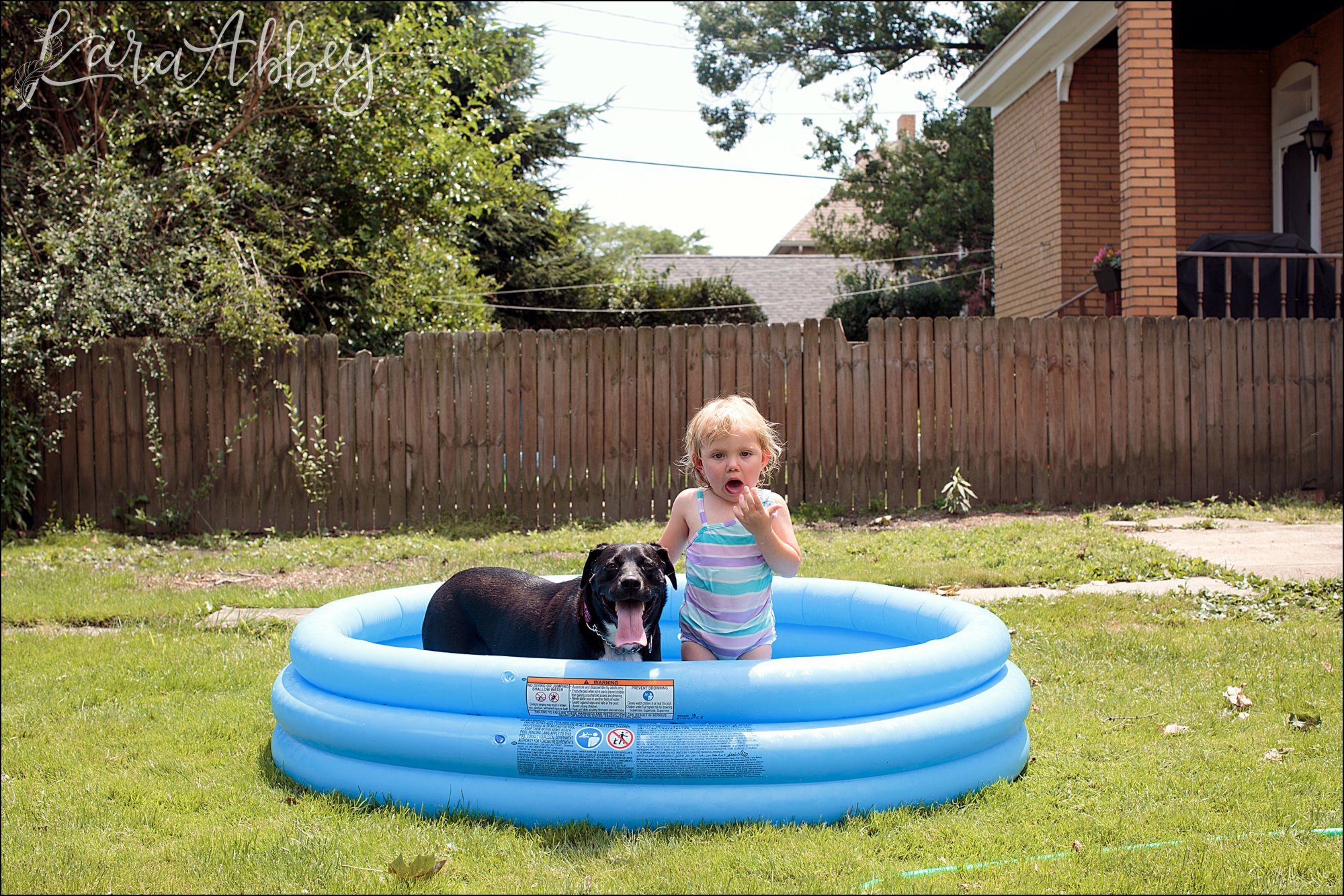 Bloopers of Black Lab Abby's Saturday in Irwin, PA