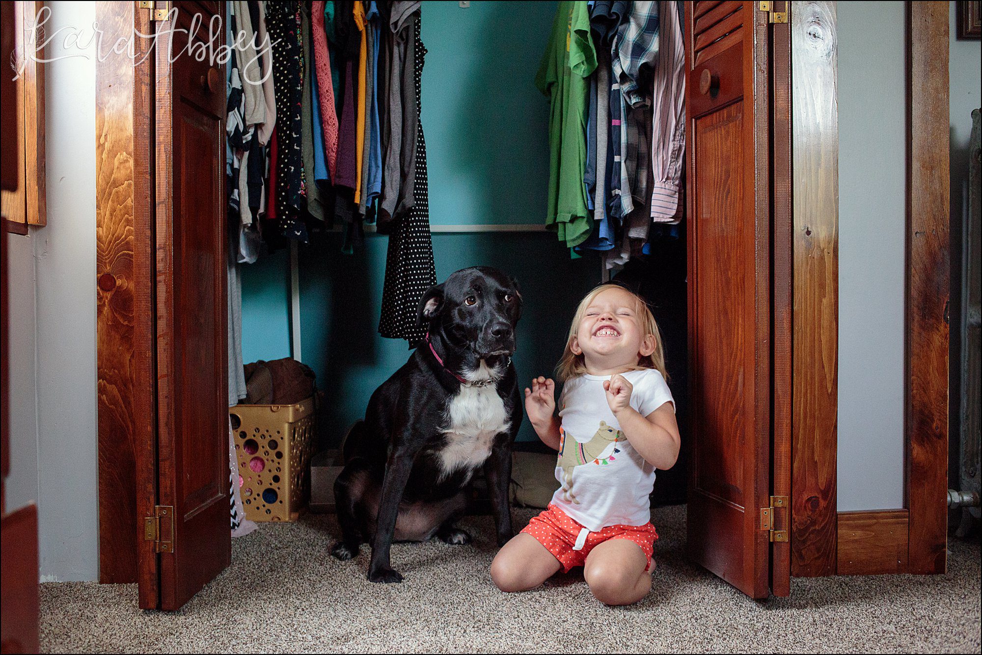 Bloopers of Black Lab Abby's Saturday in Irwin, PA