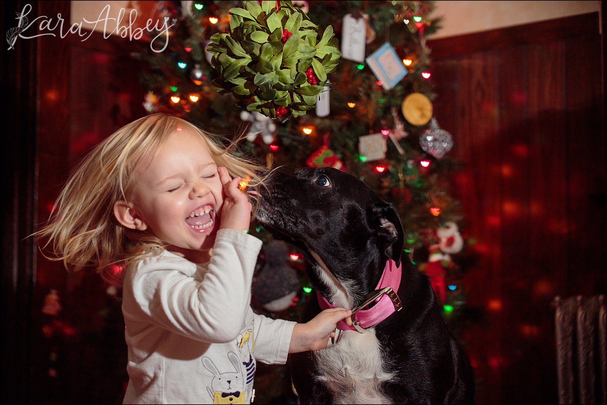 Bloopers of Black Lab Abby's Saturday in Irwin, PA