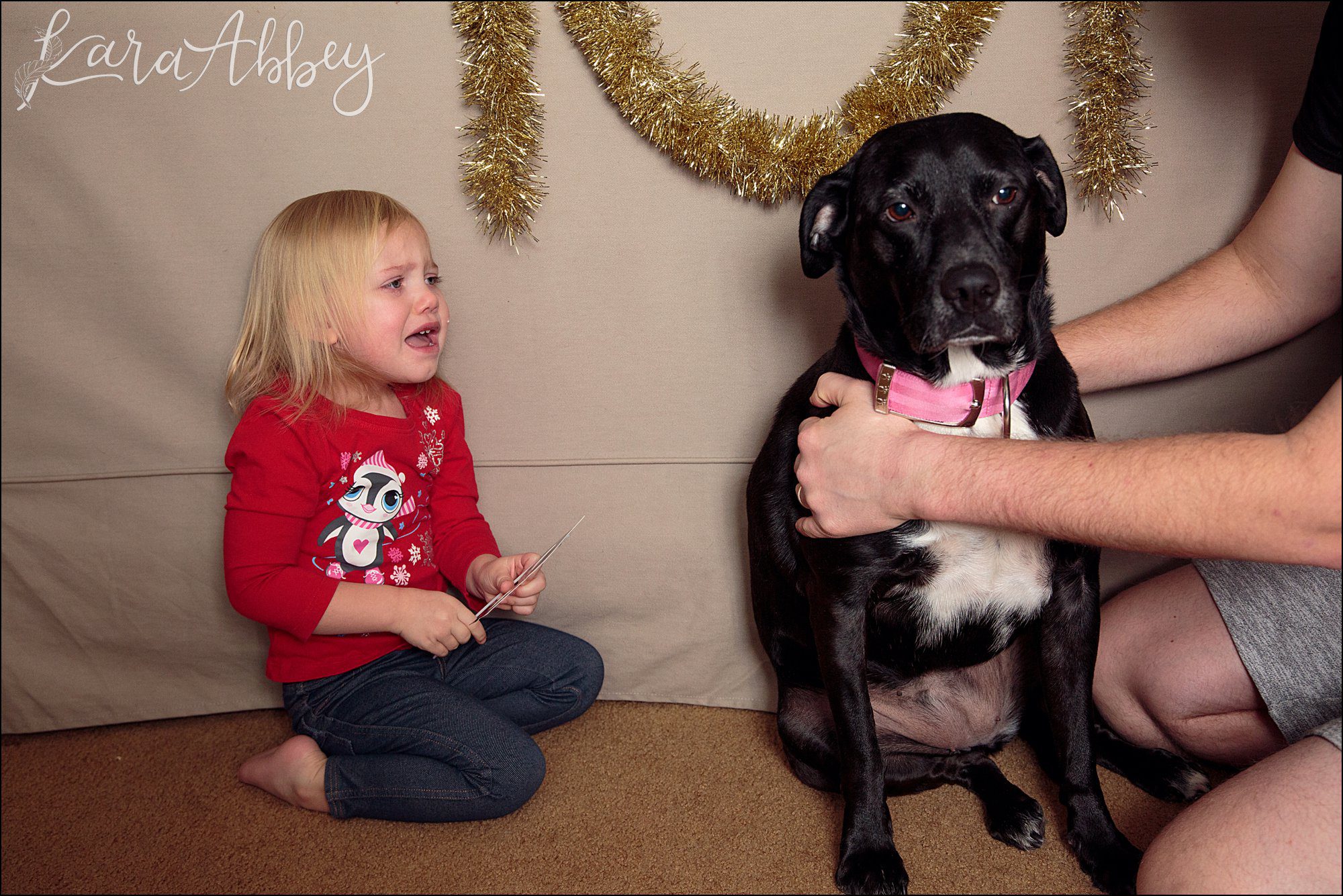 Bloopers of Black Lab Abby's Saturday in Irwin, PA