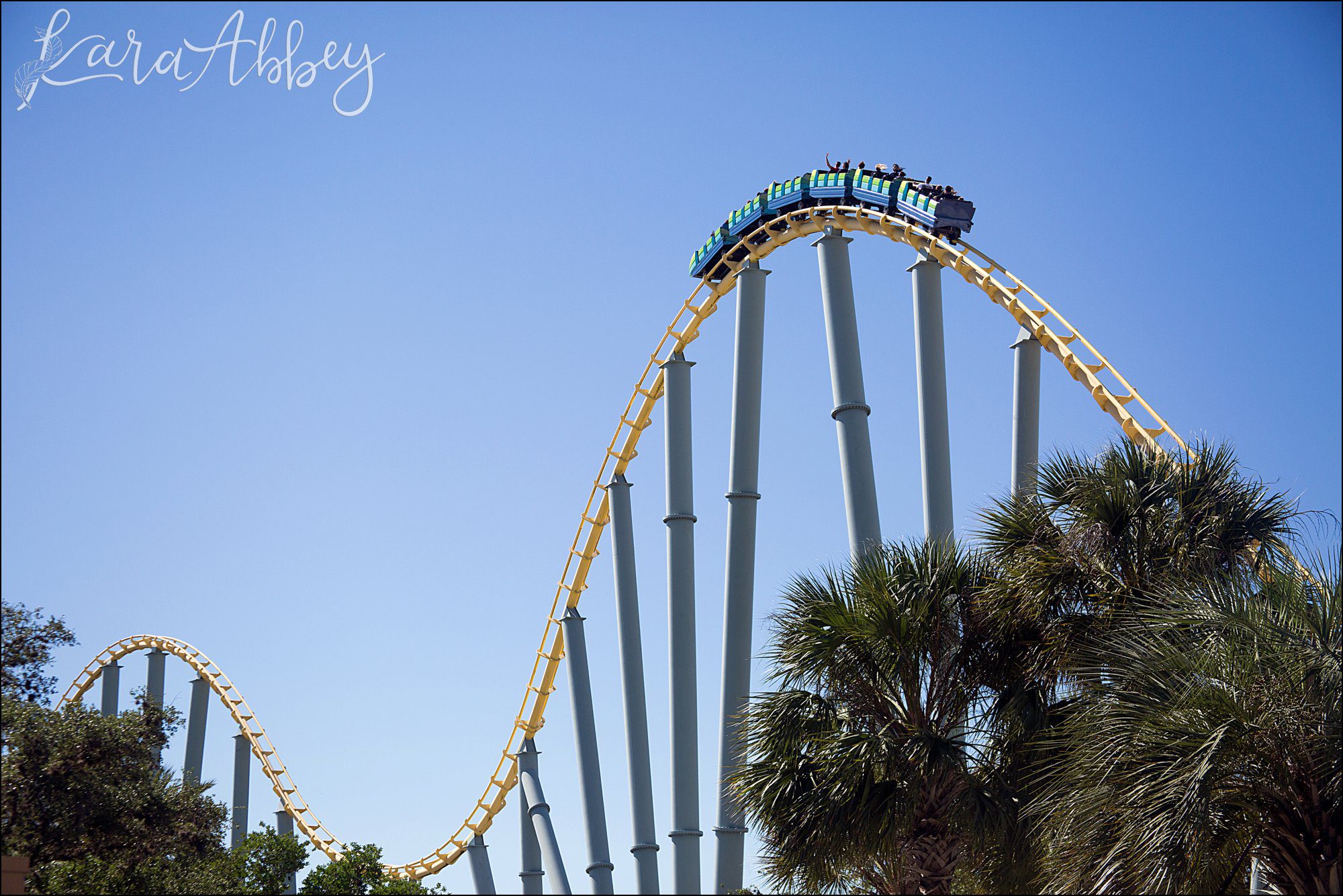 Roller Coaster Photographer Favorite Images from 2017