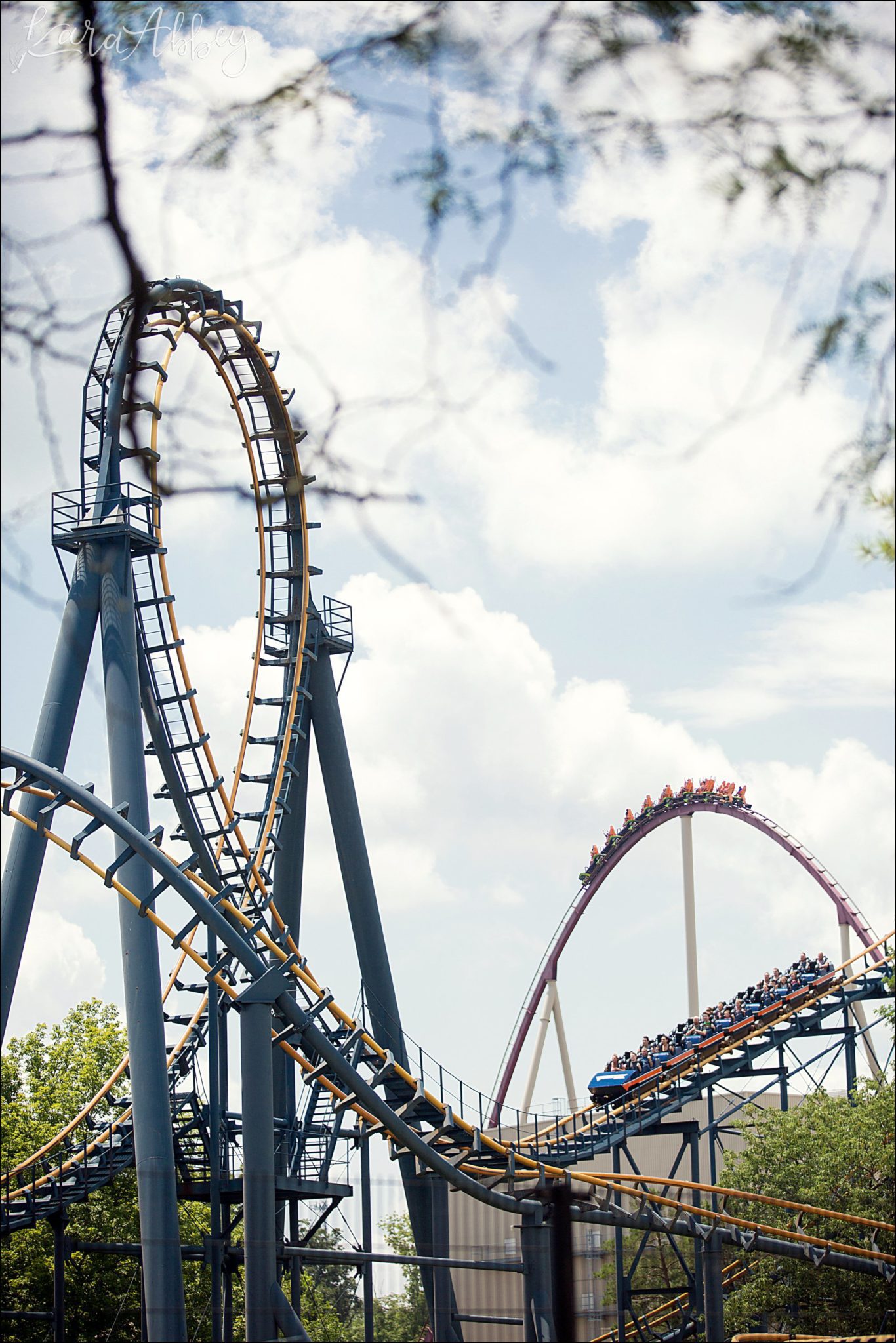 Roller Coaster Photographer Favorite Images from 2017