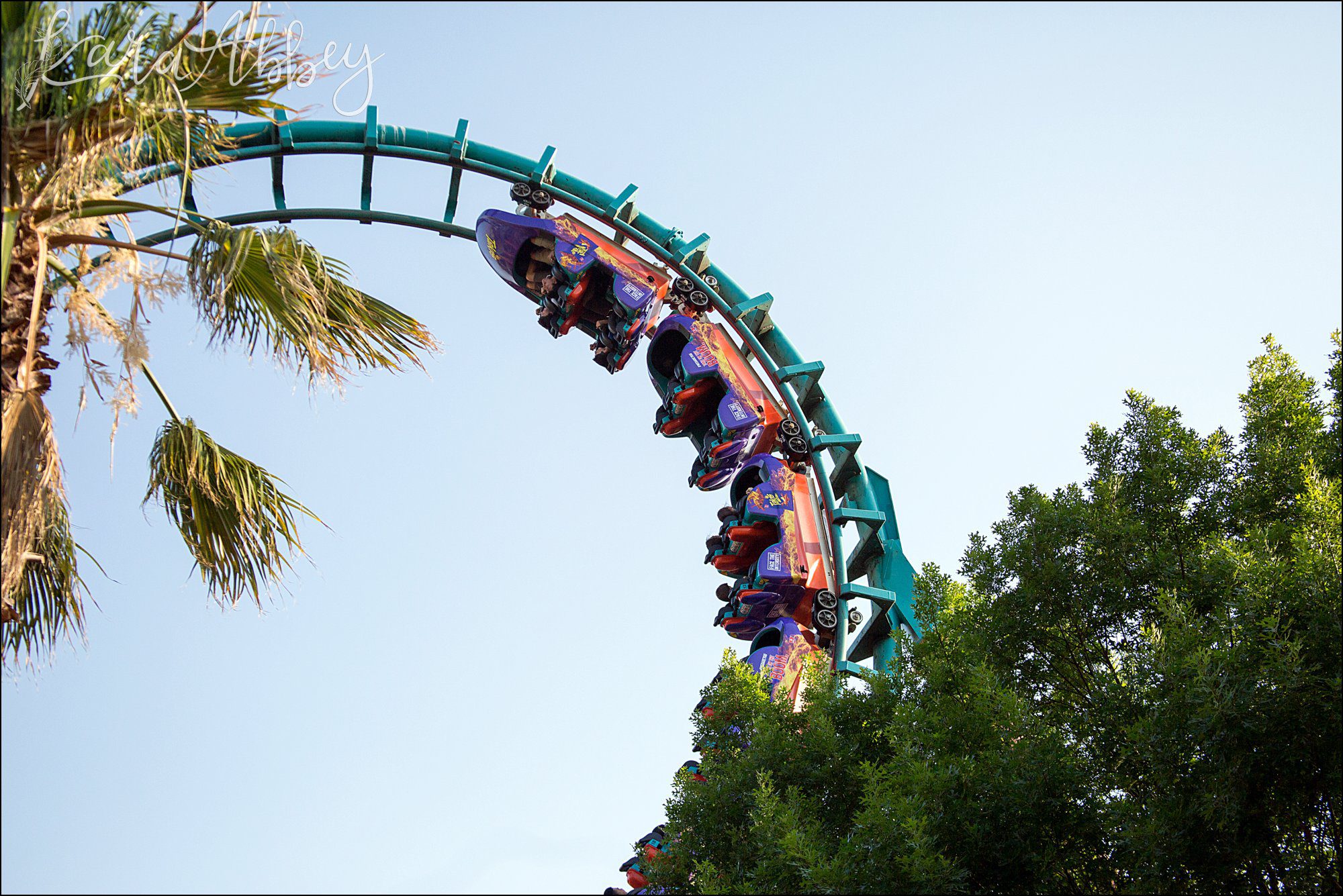 Roller Coaster Photographer Favorite Images from 2017