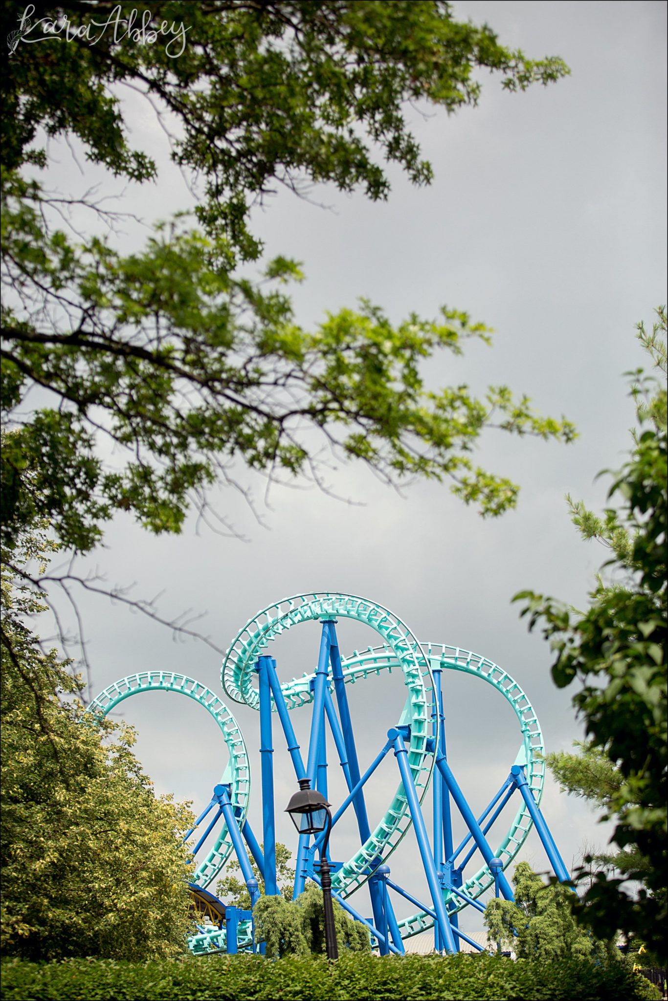 Roller Coaster Photographer Favorite Images from 2017
