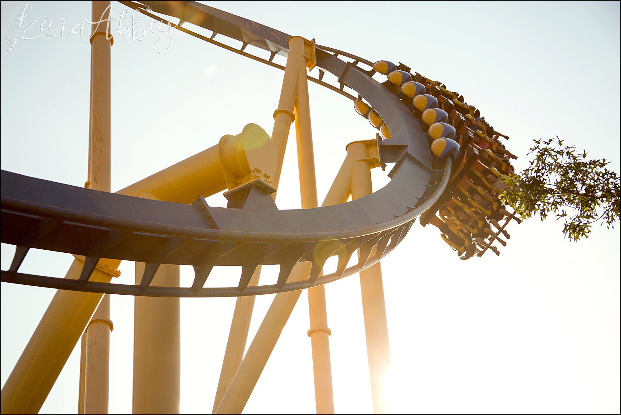 Roller Coaster Photographer Favorite Images from 2017