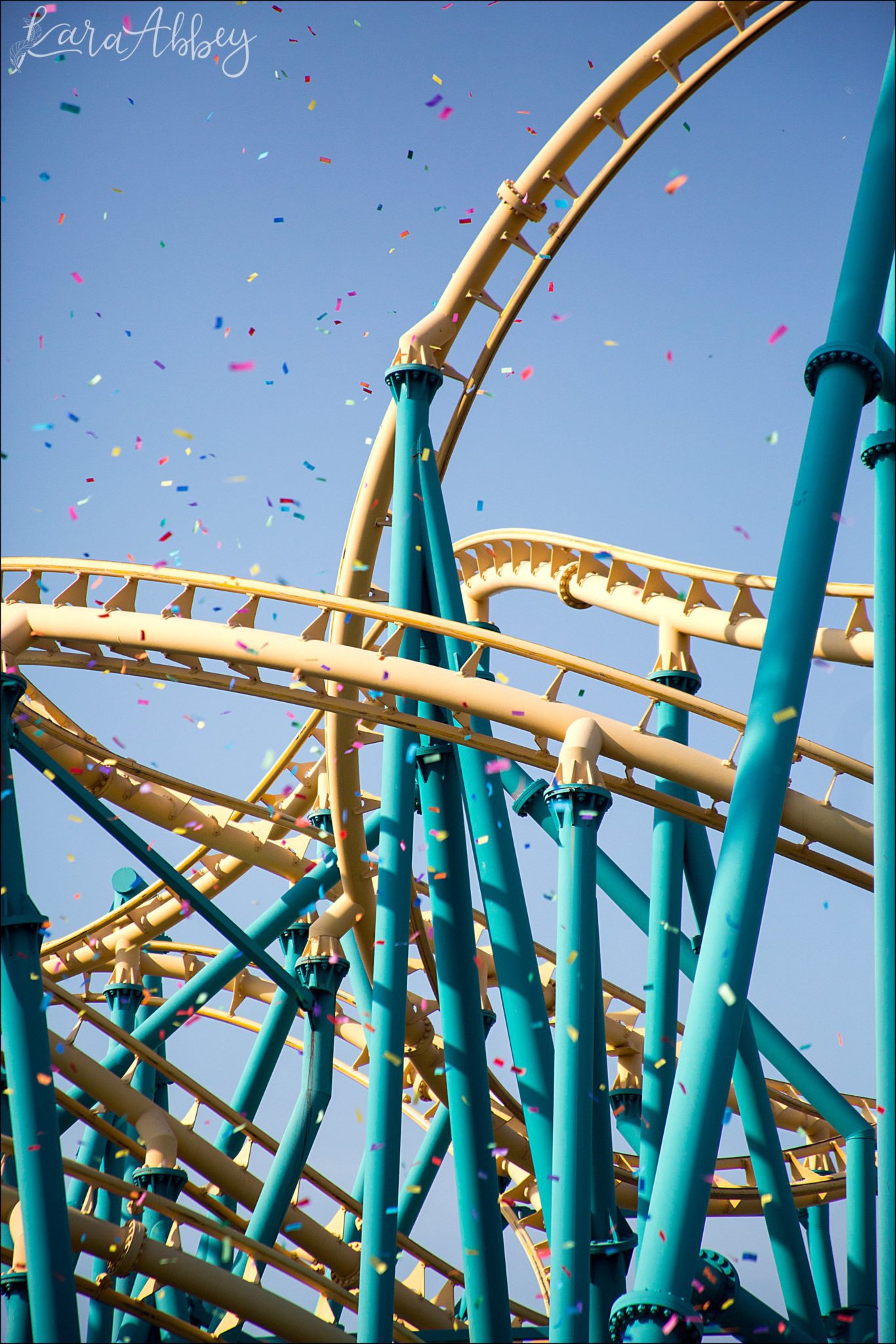 Roller Coaster Photographer Favorite Images from 2017