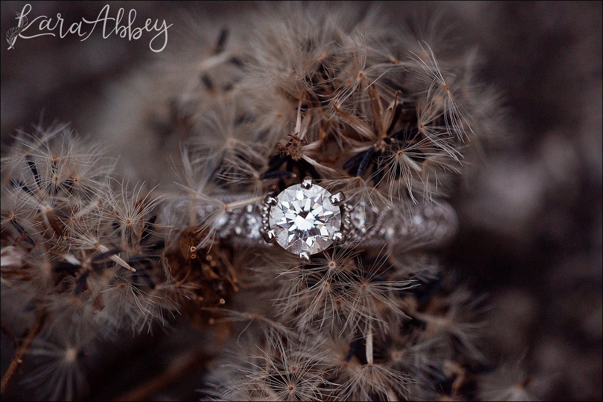 Ohiopyle State Park Engagement Photography in the Fall - Laurel Highlands