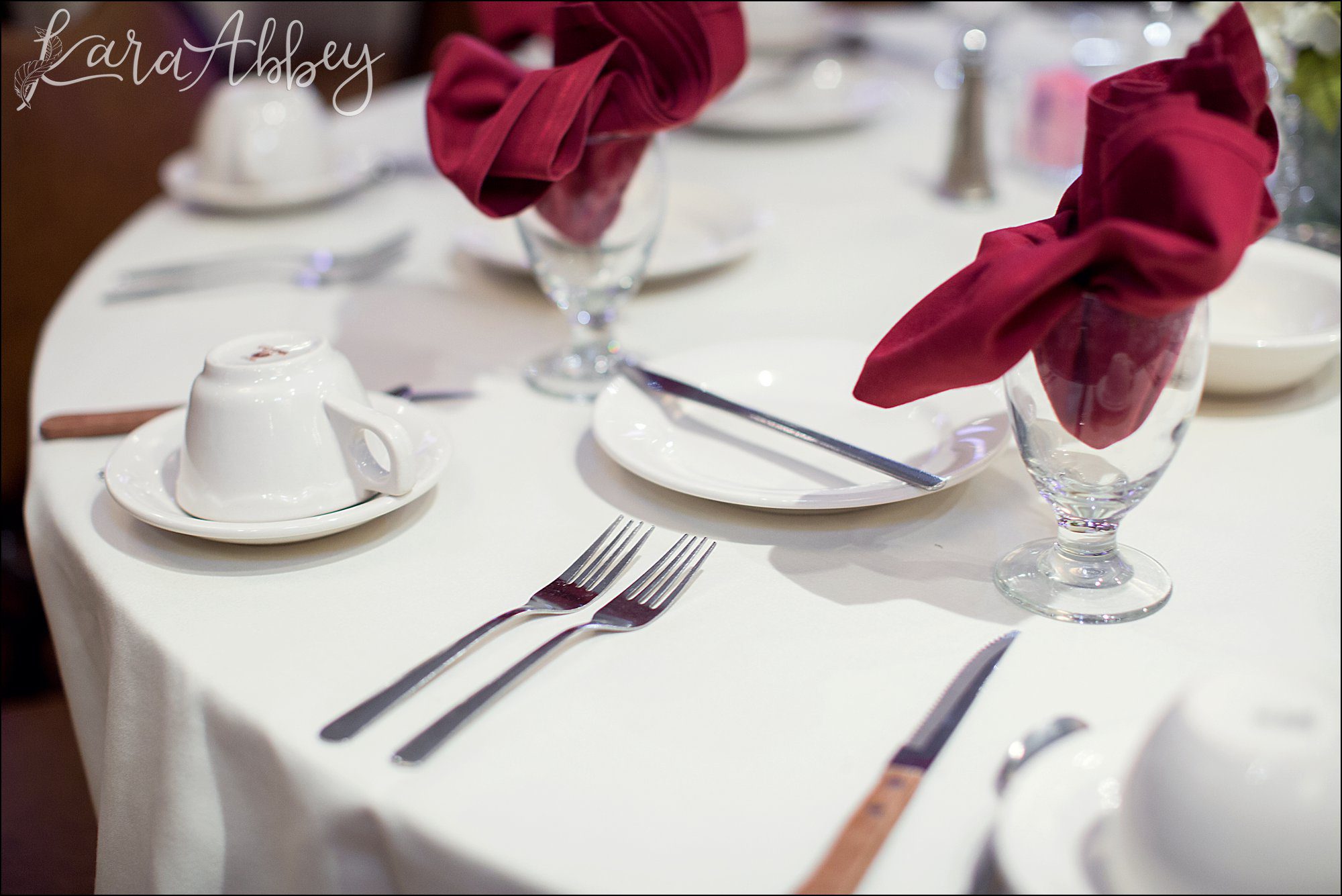 Intimate Pink Winter Wedding Reception at The Fez in Aliquippa, PA
