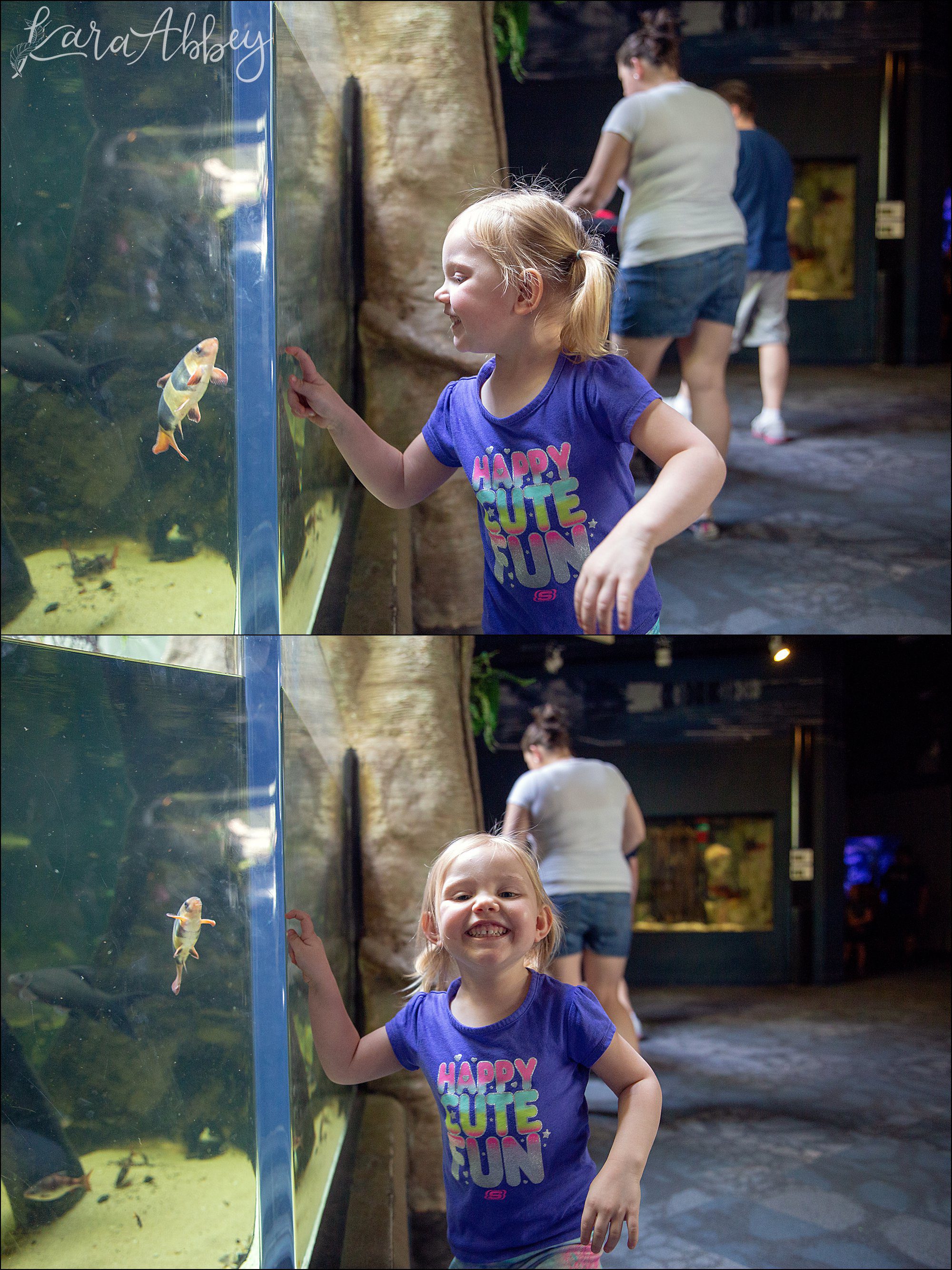 Spring at the Pittsburgh Zoo & Aquarium