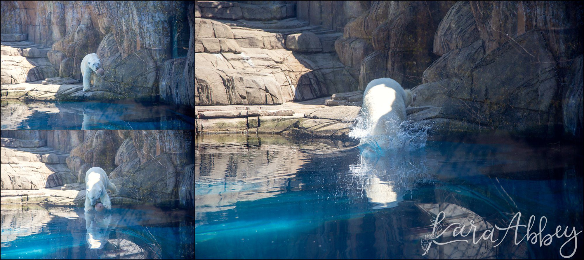 Spring at the Pittsburgh Zoo & Aquarium