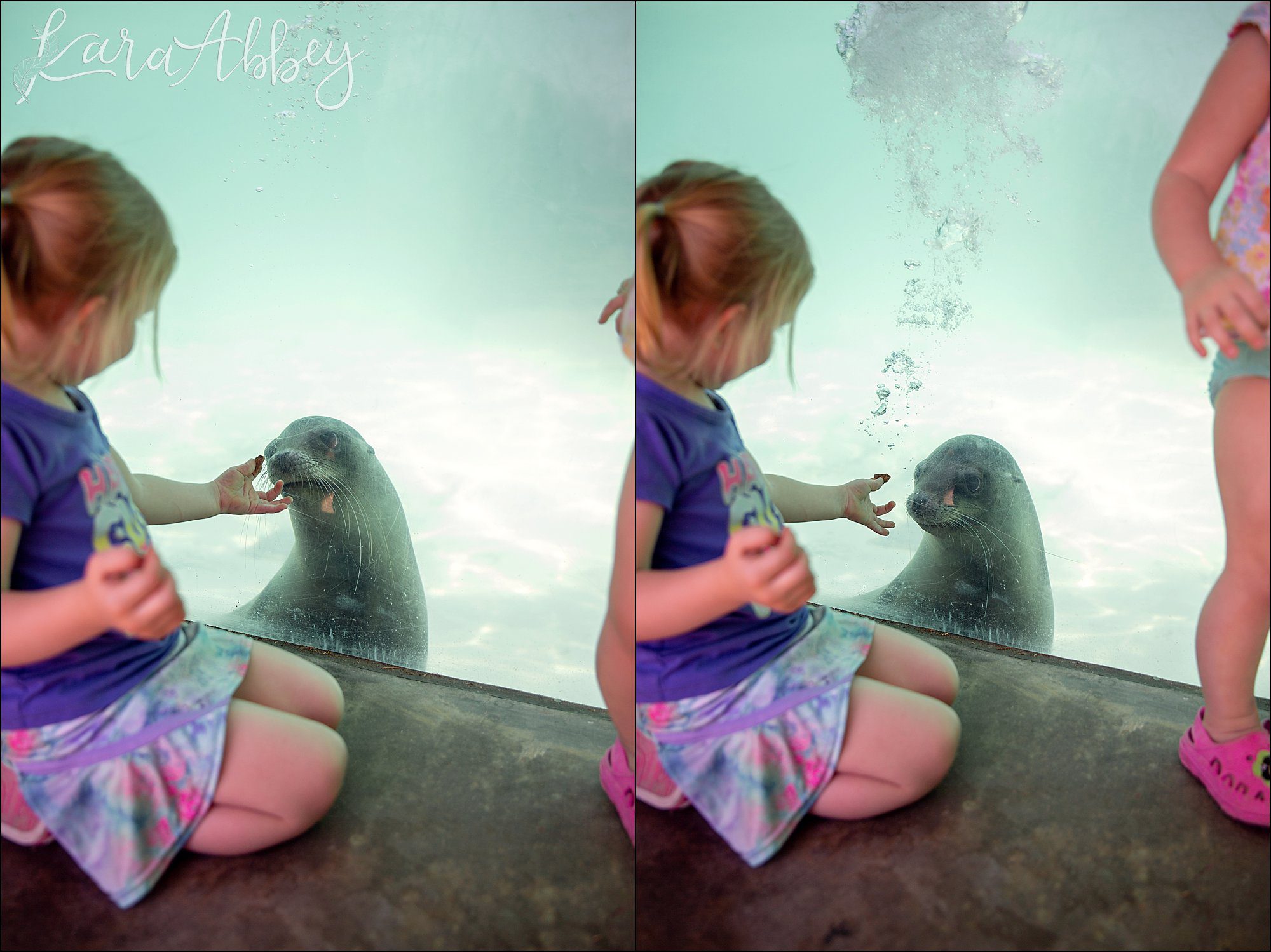Spring at the Pittsburgh Zoo & Aquarium