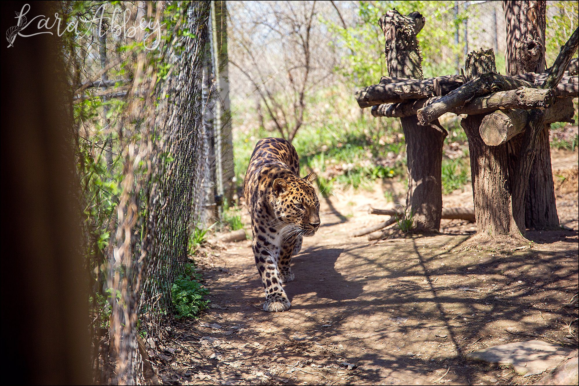 Spring at the Pittsburgh Zoo & Aquarium