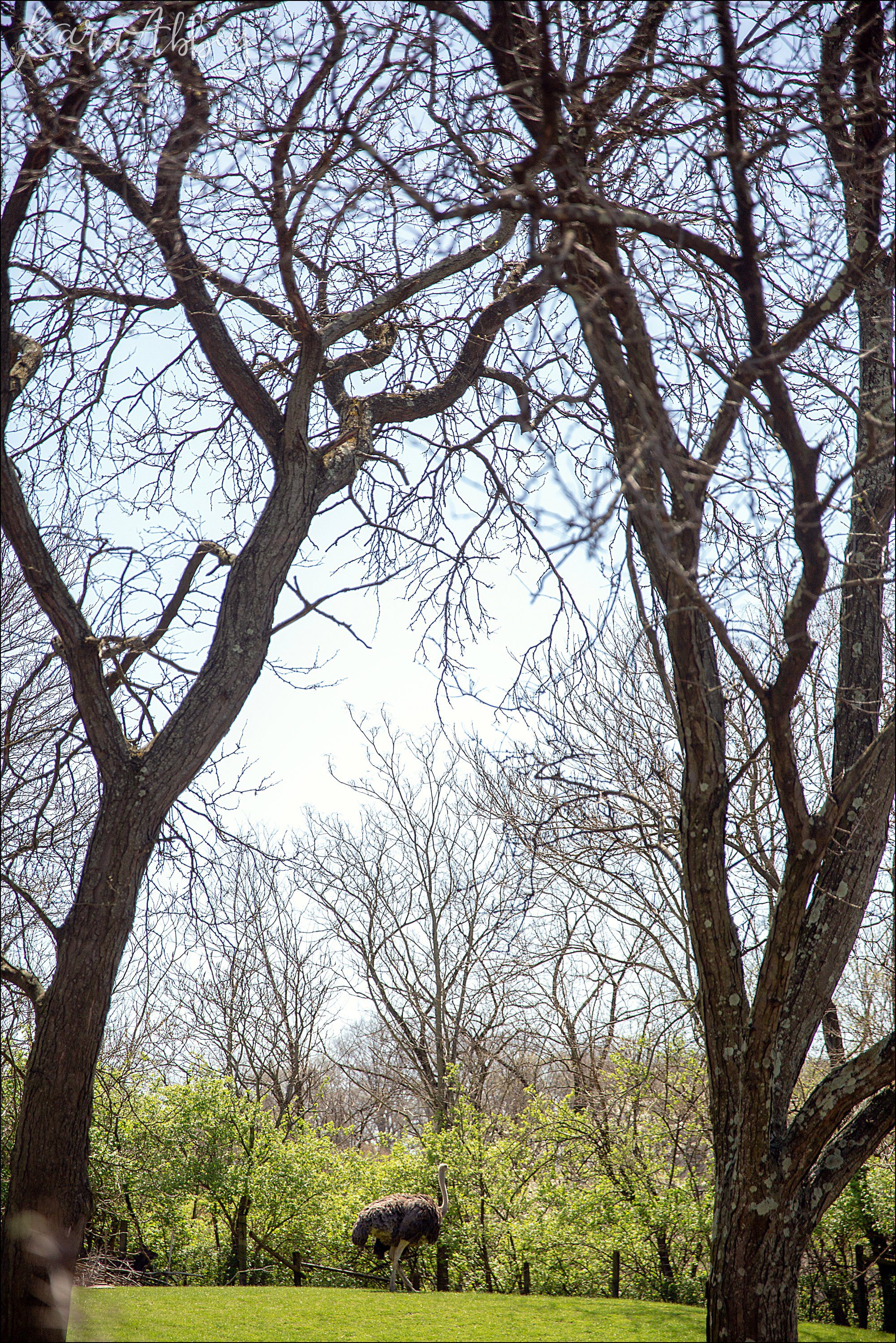 Spring at the Pittsburgh Zoo & Aquarium