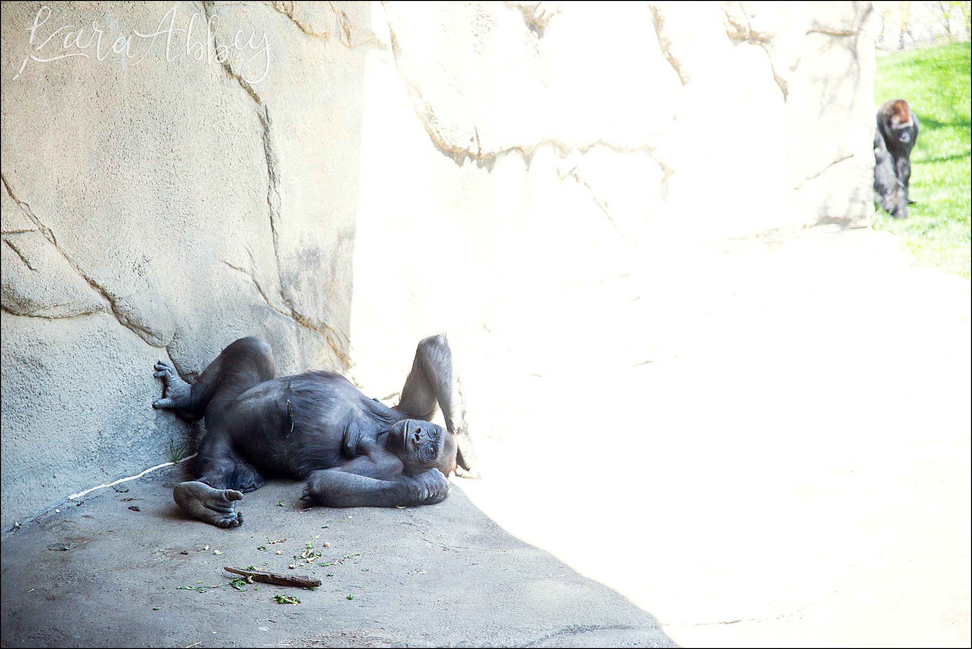 Spring at the Pittsburgh Zoo & Aquarium