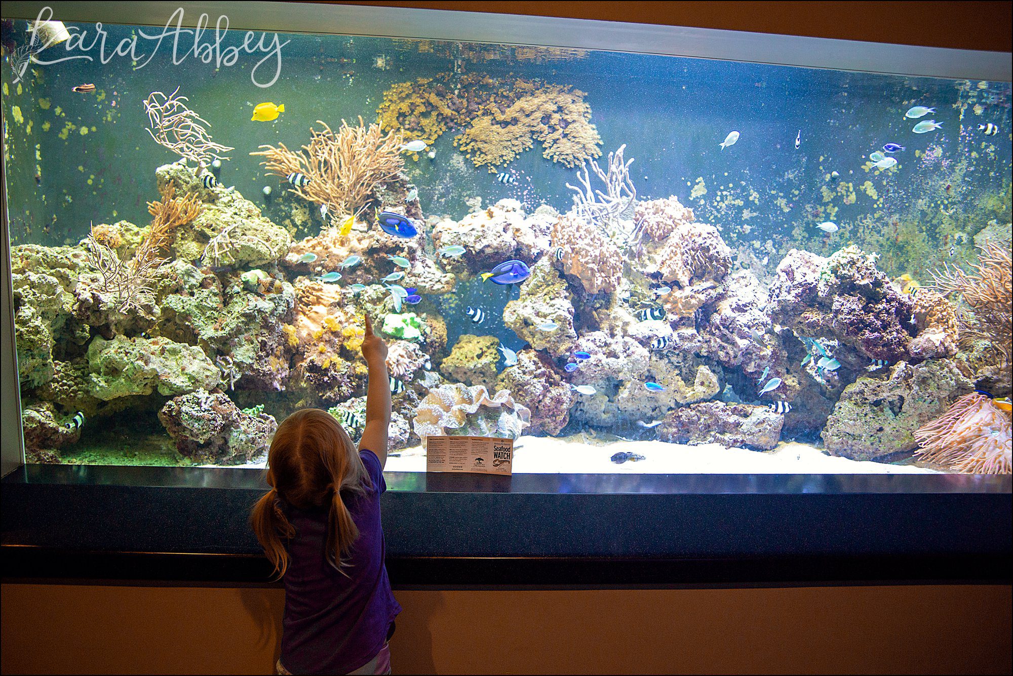 Spring at the Pittsburgh Zoo & Aquarium