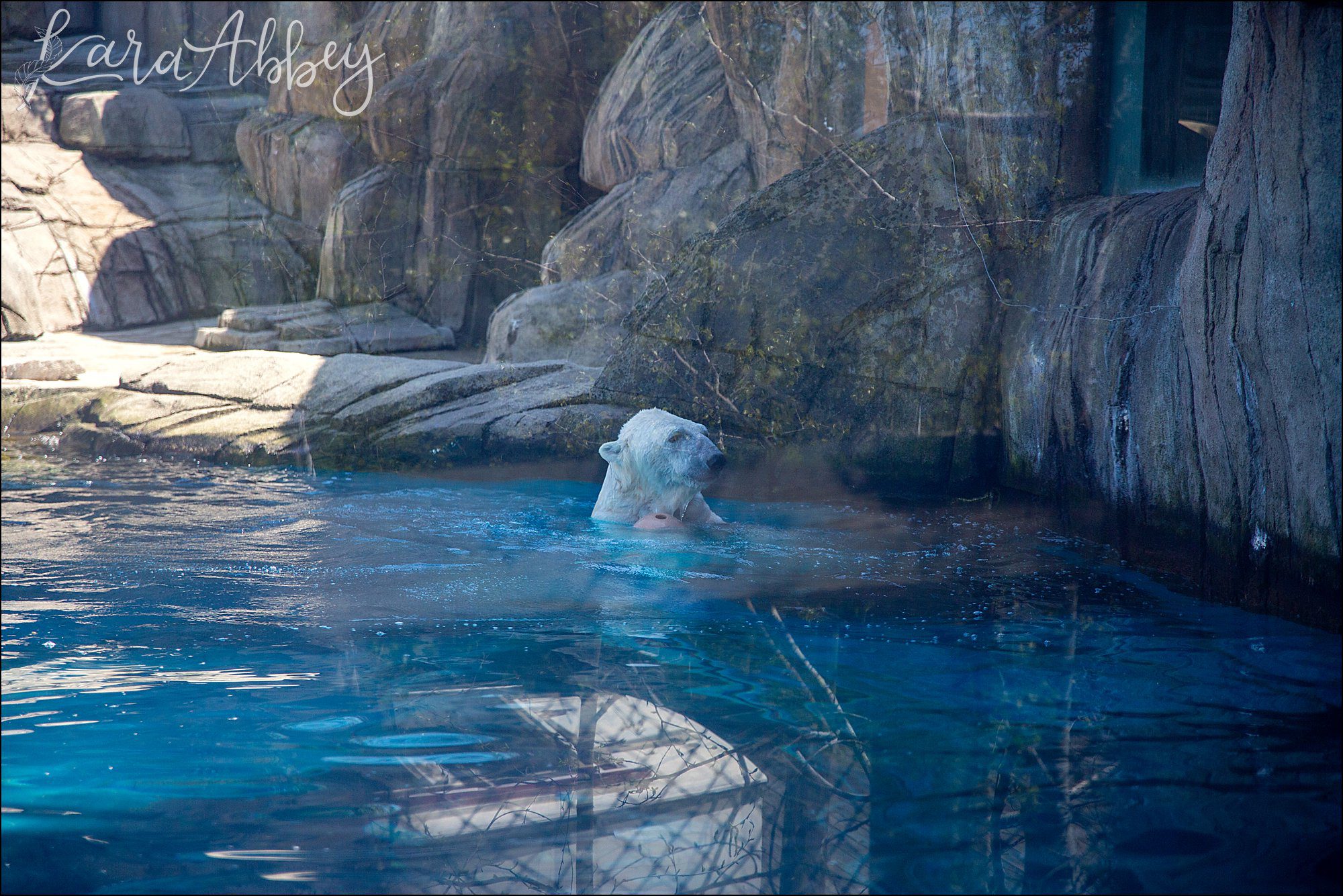Spring at the Pittsburgh Zoo & Aquarium