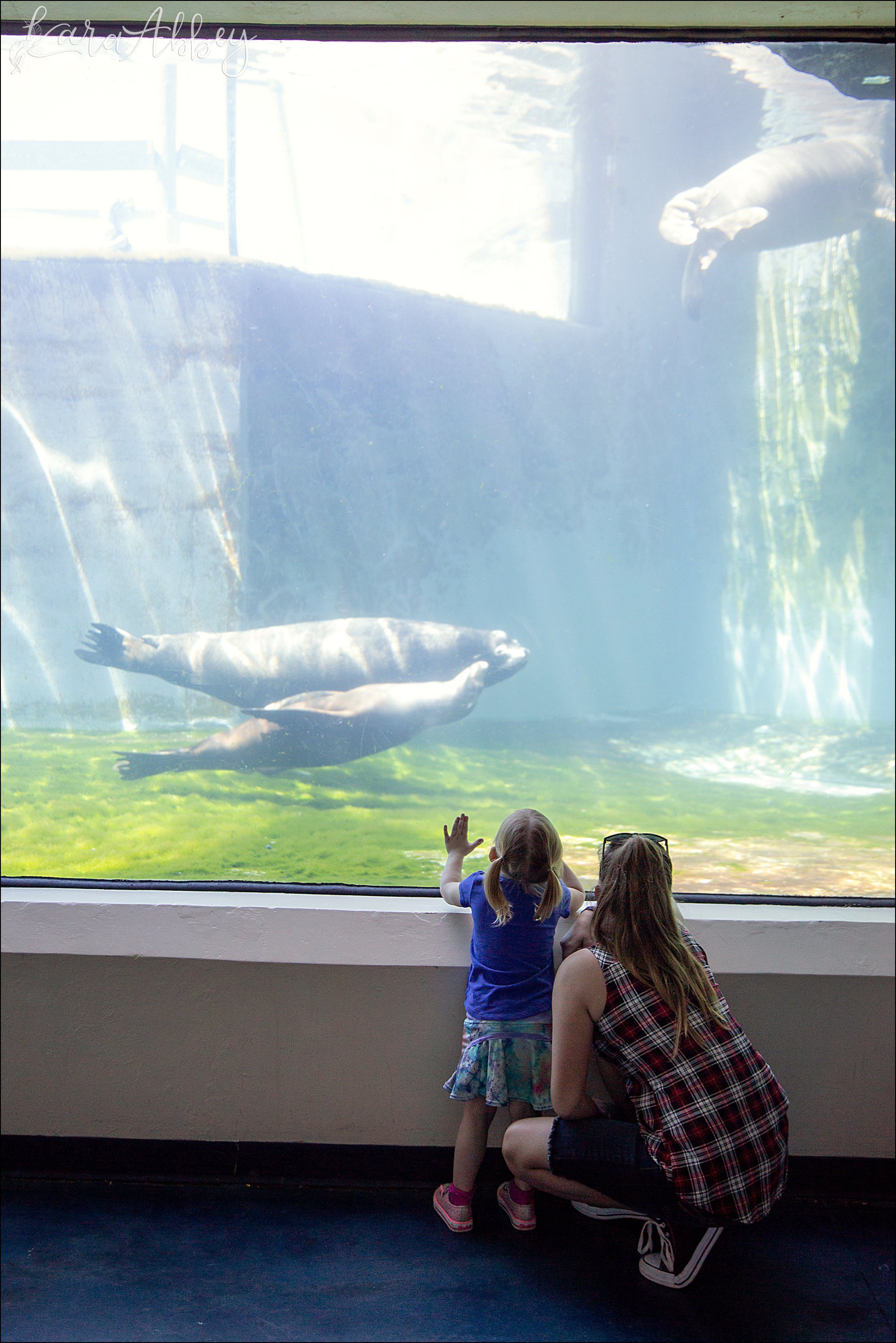 Spring at the Pittsburgh Zoo & Aquarium