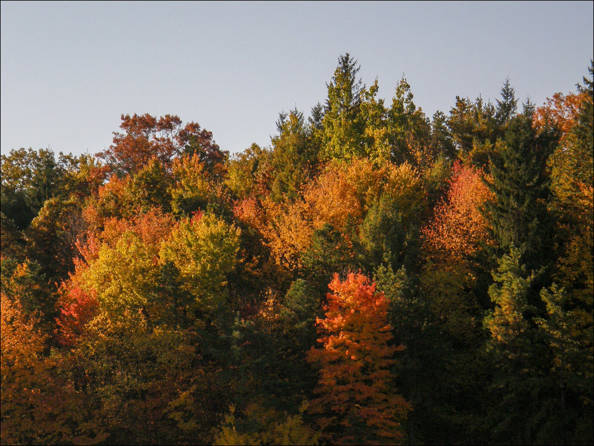 Our Love Story Part 13 - Autumn Glory Weekend At Deep Creek Lake