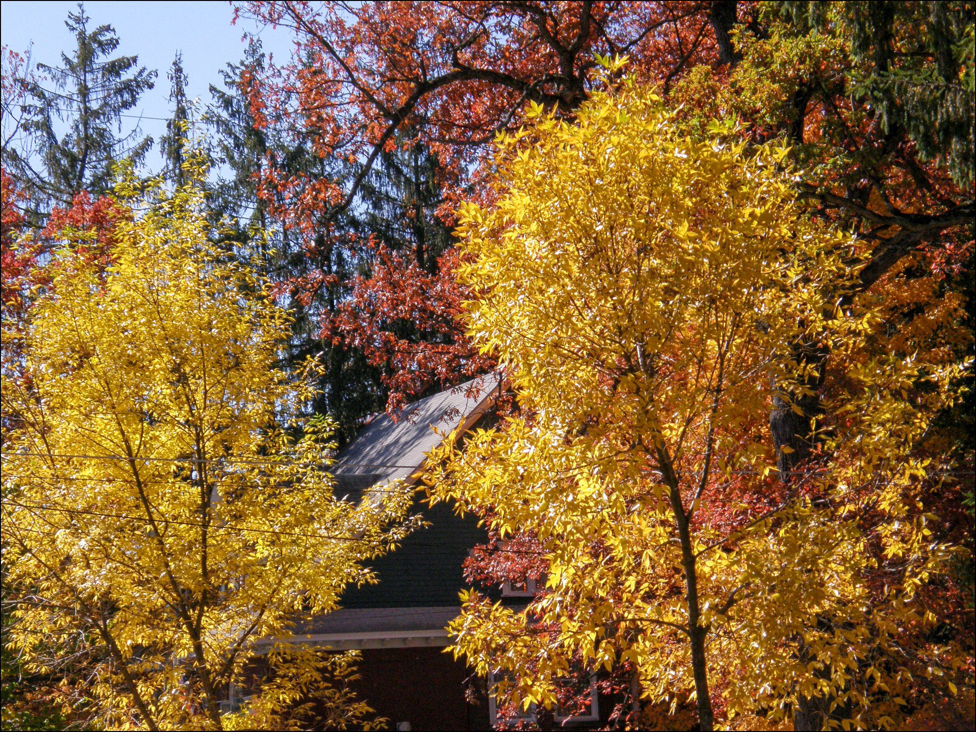 Our Love Story Part 13 - Autumn Glory Weekend At Deep Creek Lake